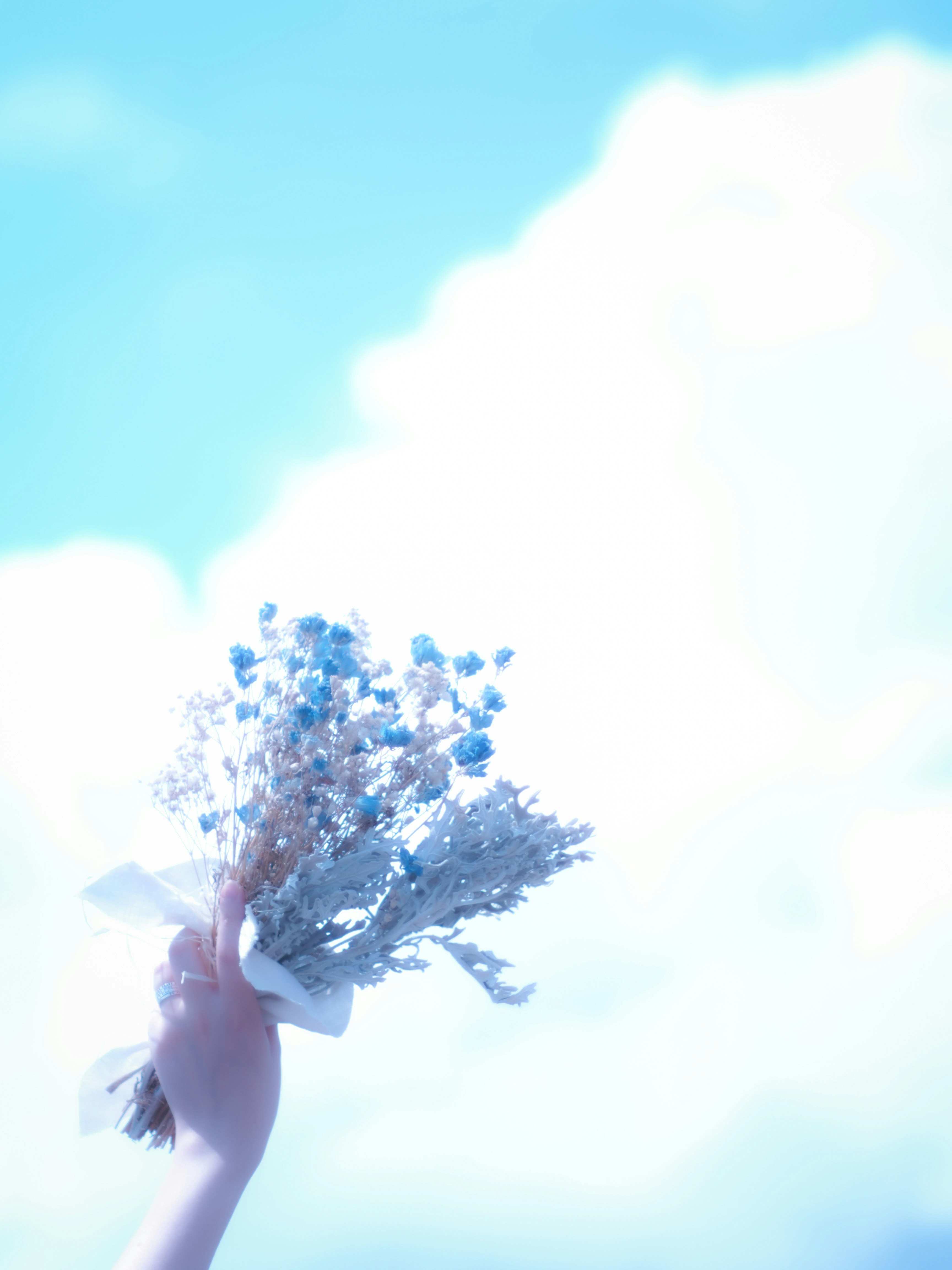 空に向かって伸びる花束を抱えたシルエット