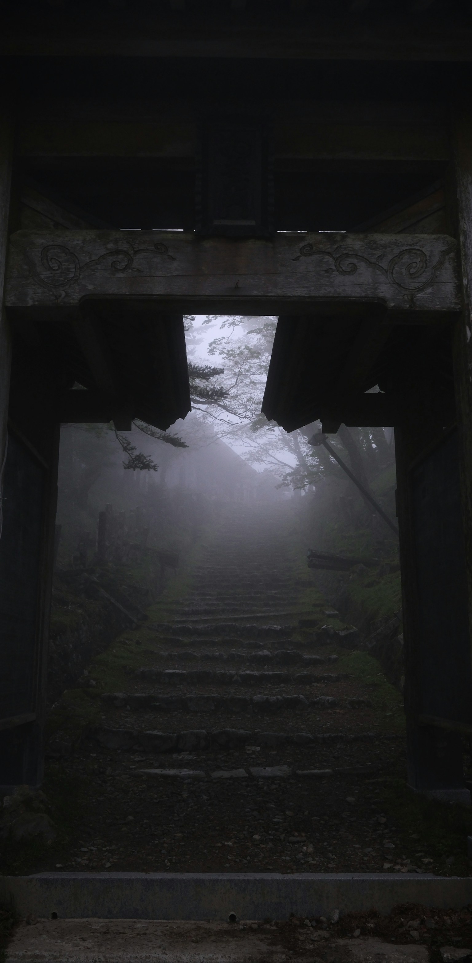 Misty staircase leading through a dark archway