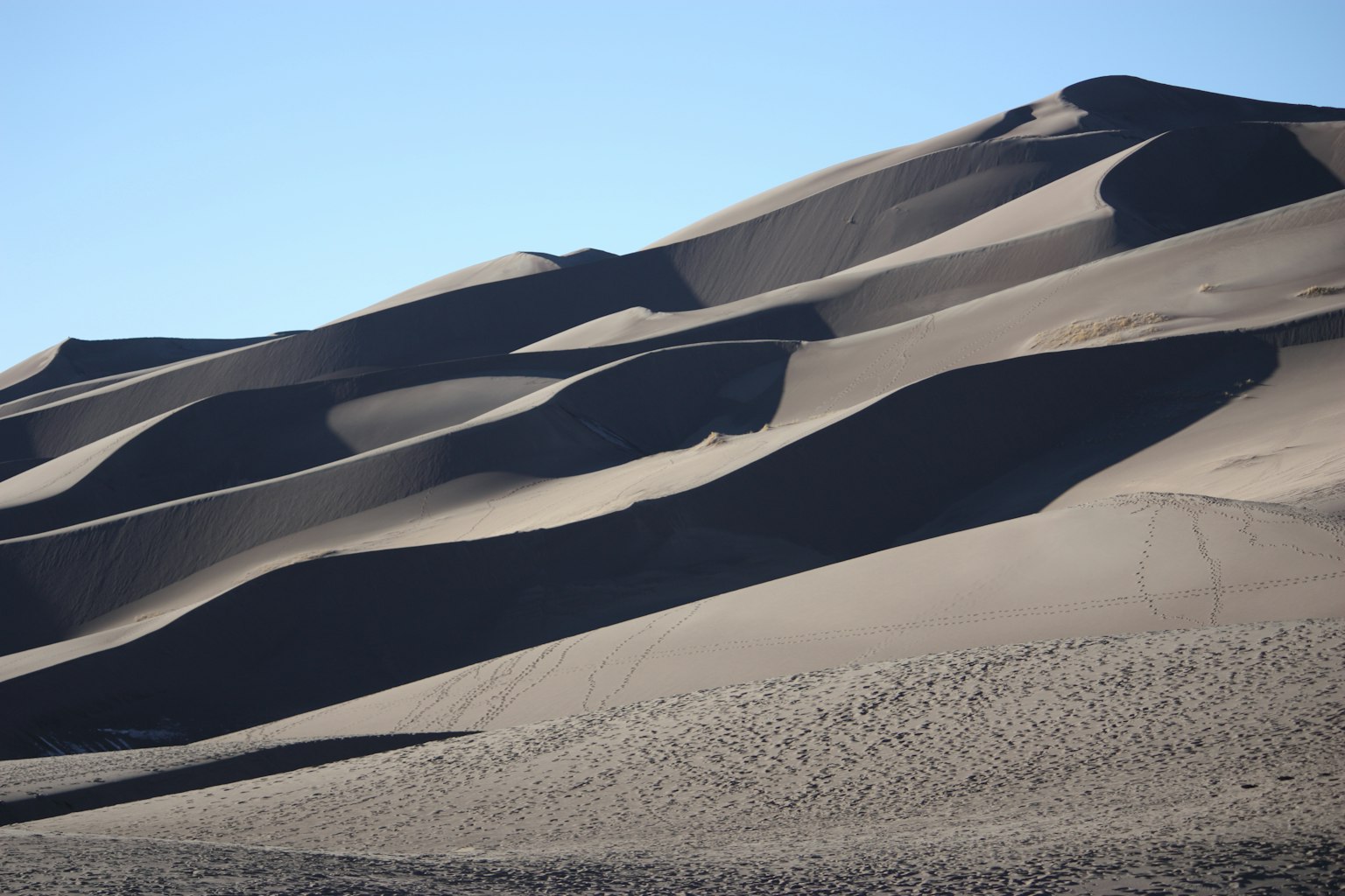 Sanfte Kurven und Schatten von Sanddünen in einer Wüstenlandschaft