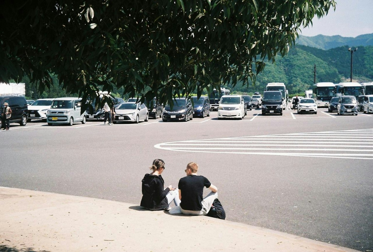 Due persone sedute sotto un albero in un parcheggio
