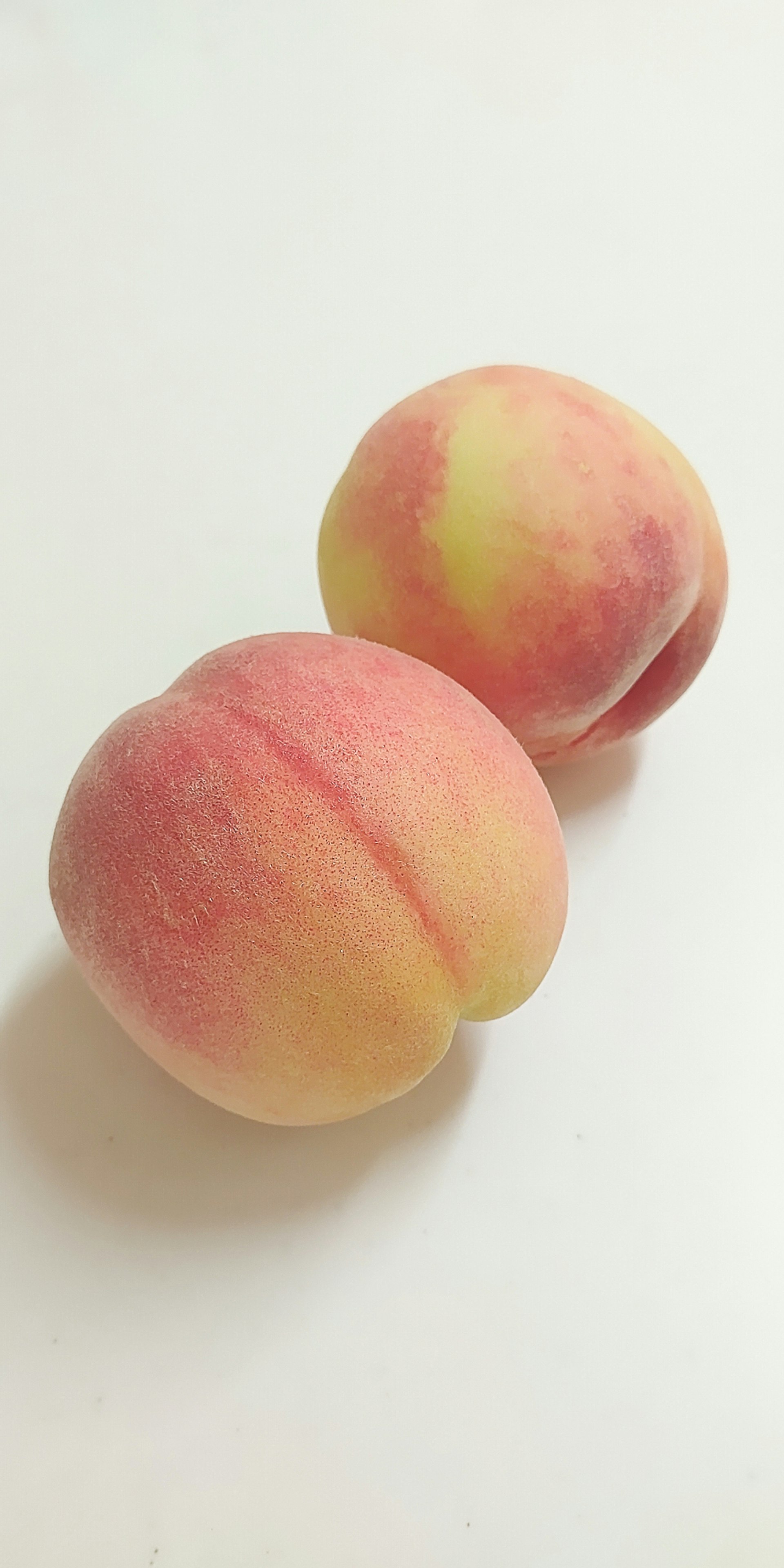 白背景の桃色の丸い和菓子