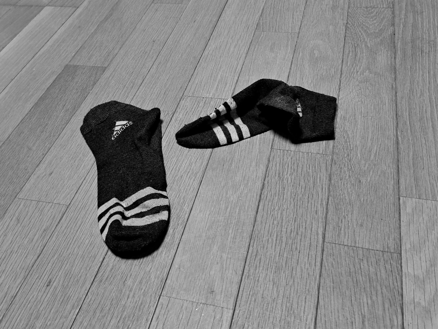 photo-y20FuY5XNfmatc0oGNnx-image