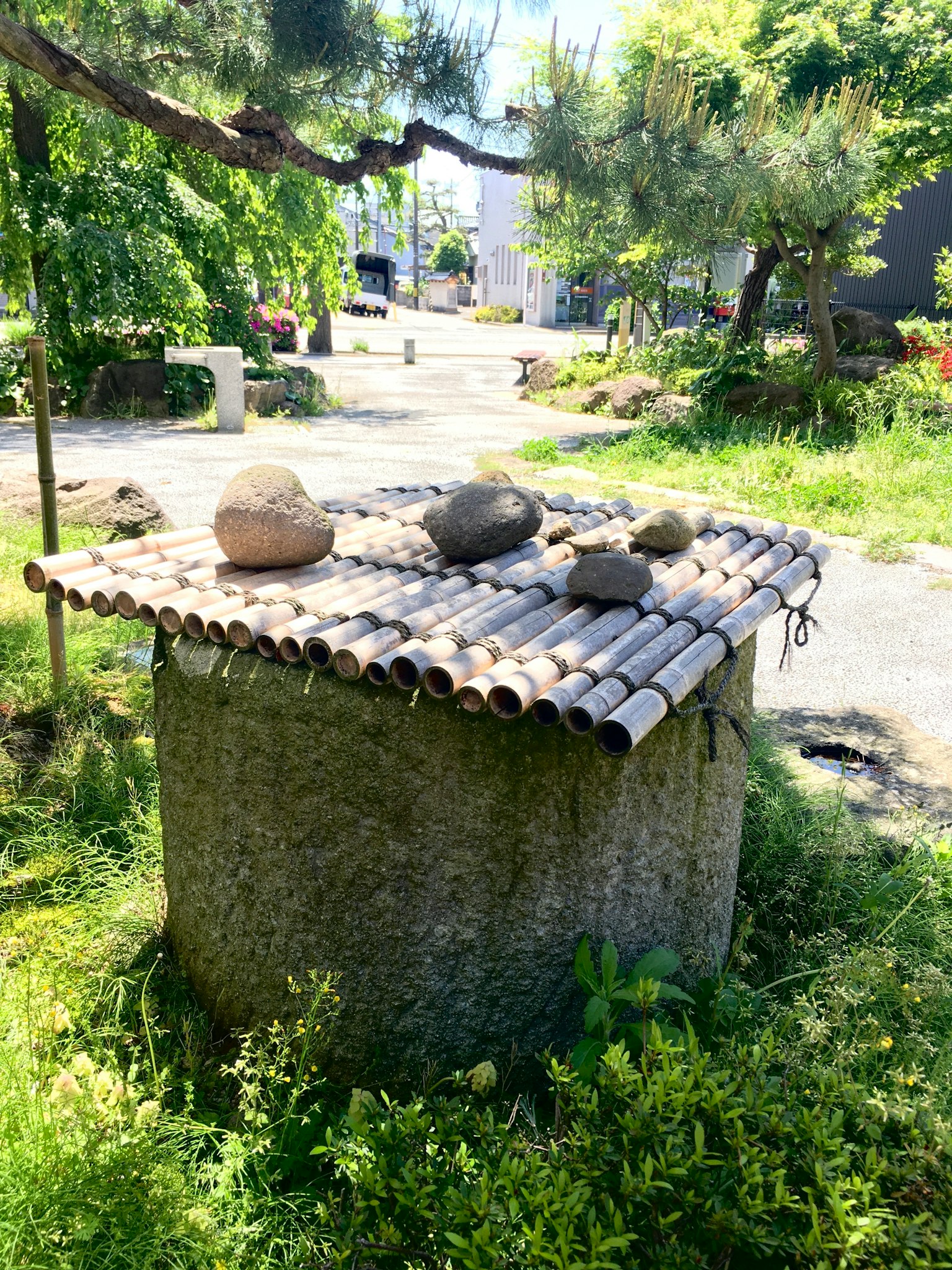 photo-y2498qEUXn2dTMwY6HID-image