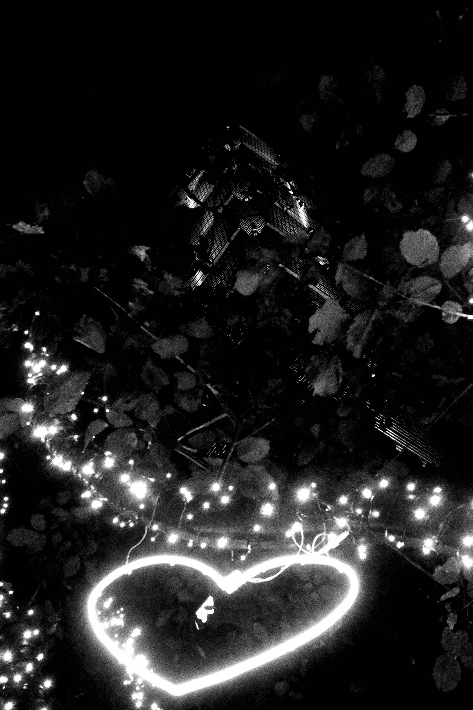 黒い背景に白いハート型の光が輝く画像で周囲には小さな光が散りばめられている