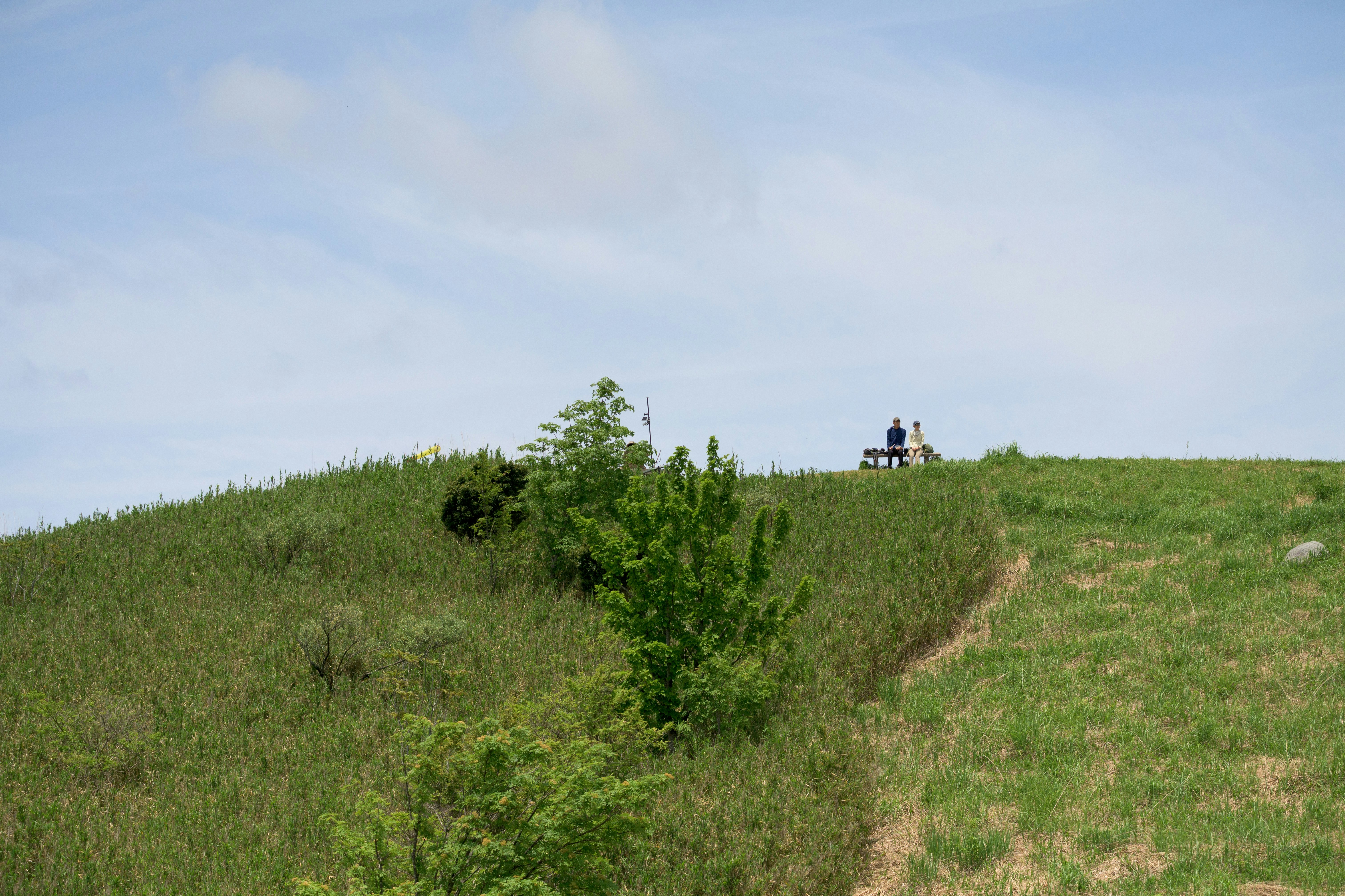 丘の上の草地と小さな人影のある登山道