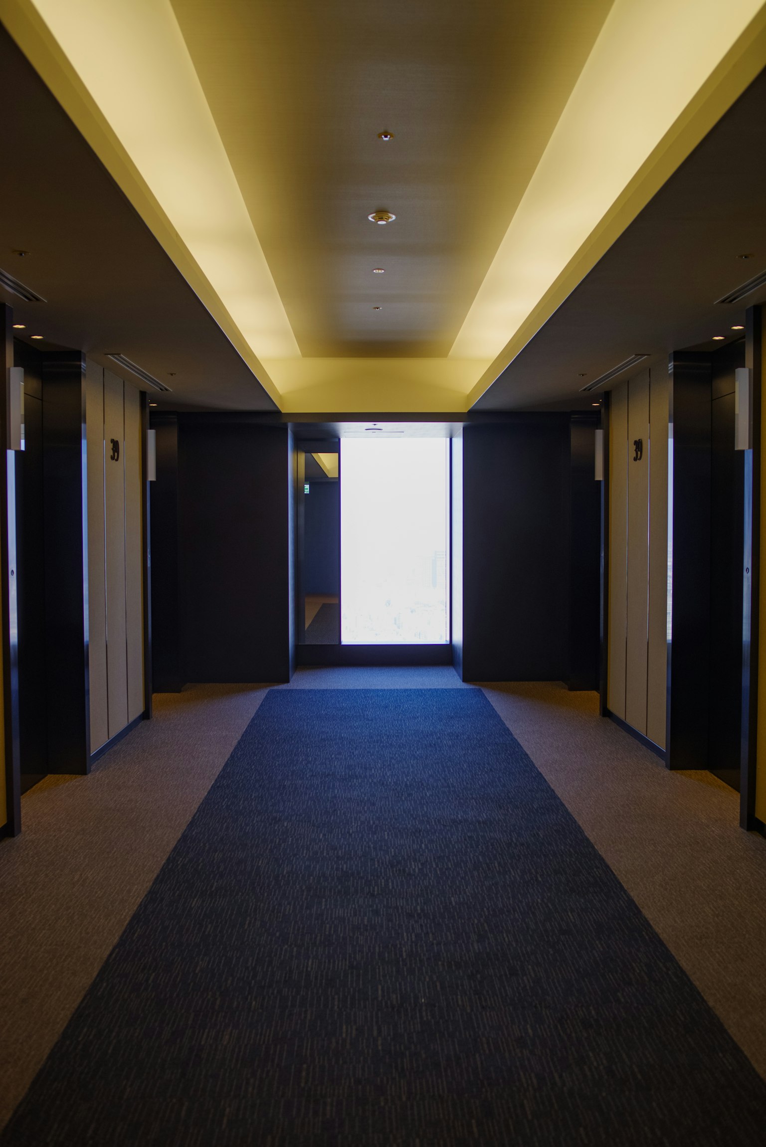 ๋ฐ์ ์กฐ๋ช
์ ๋ณต๋์ ์๋ฆฌ๋ฒ ์ดํฐ ๋ฌธ