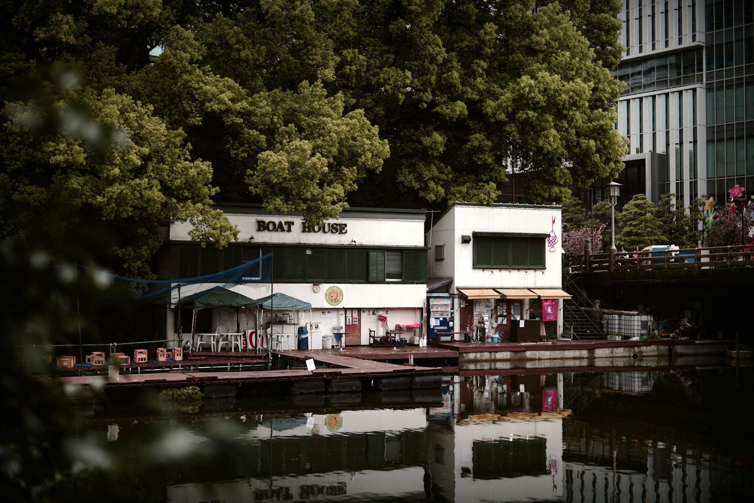 Un edificio de café junto al agua con reflejos rodeado de árboles verdes exuberantes