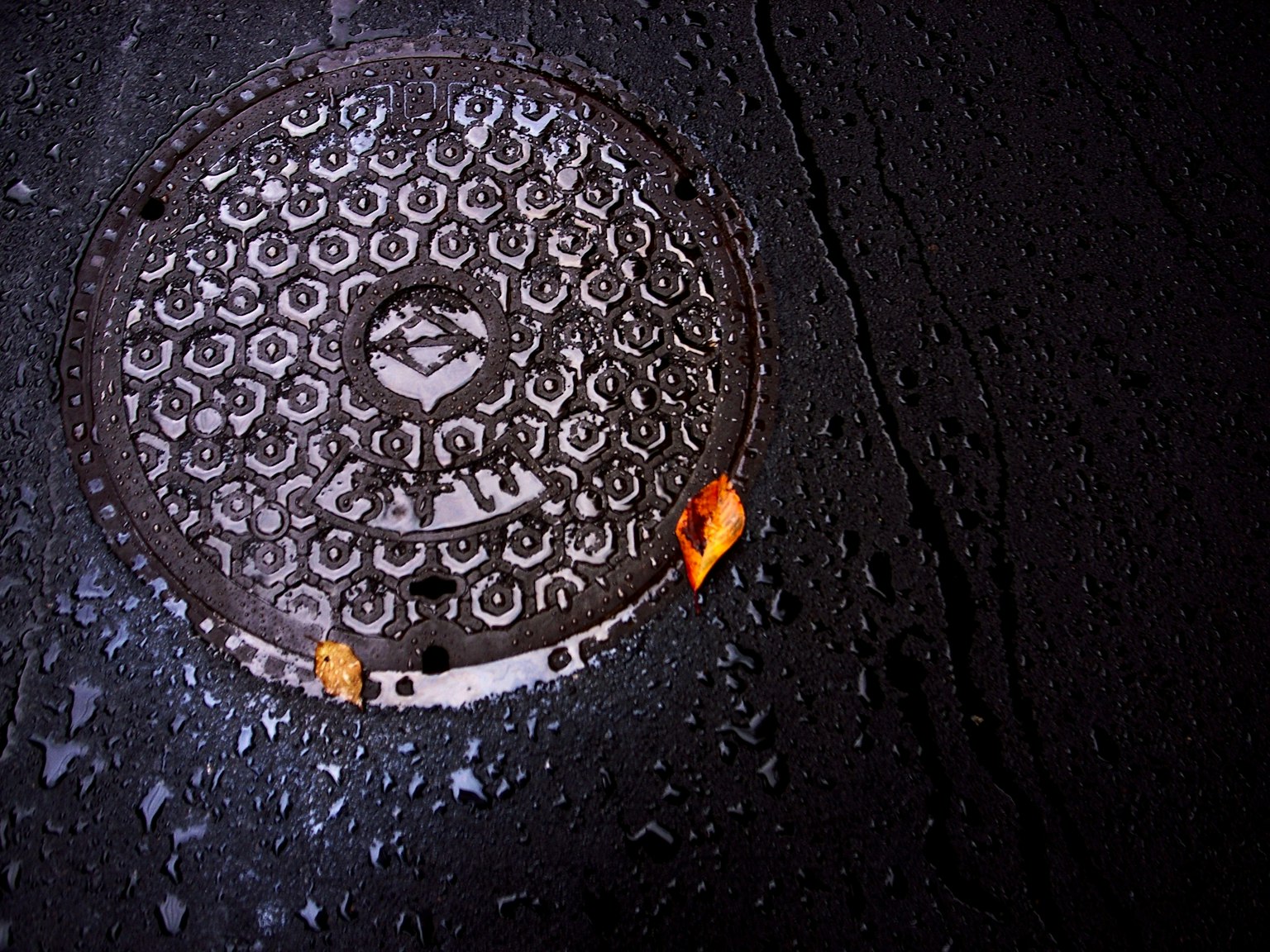 Wet manhole cover with surrounding puddles and fallen leaves