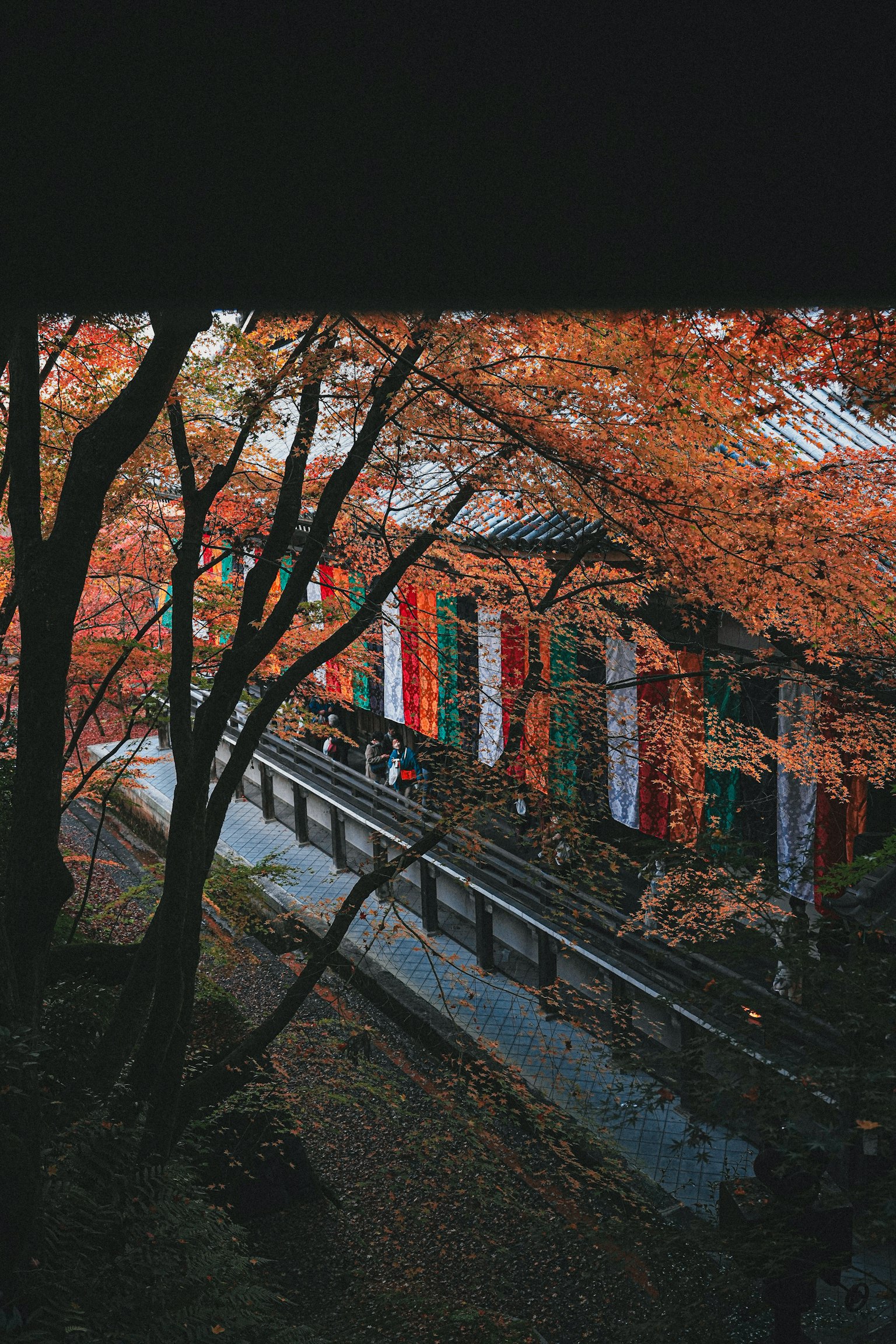 photo-y4K1kuUXKxiybnohW7N5-image