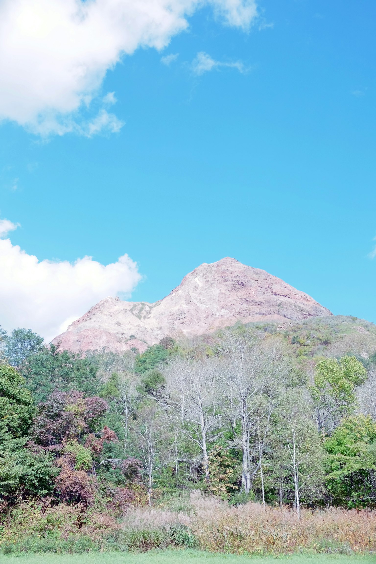 ภูเขาที่ตั้งตระหง่านใต้ท้องฟ้าสีฟ้าพร้อมต้นไม้เขียวขจี