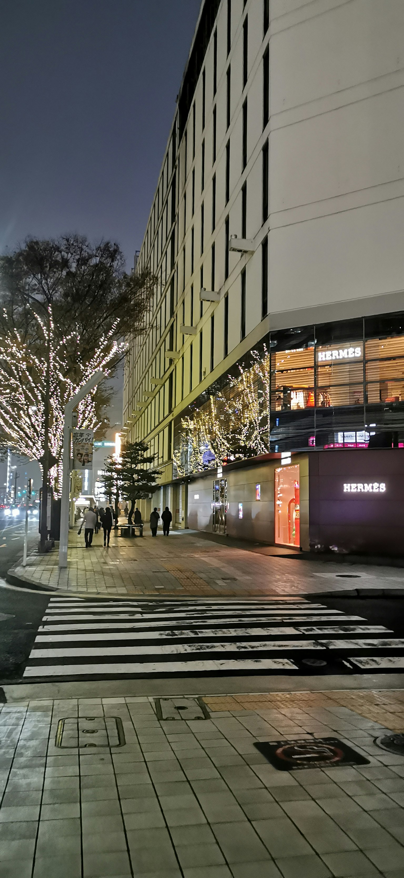夜晚街道场景，装饰的树木和灯光建筑