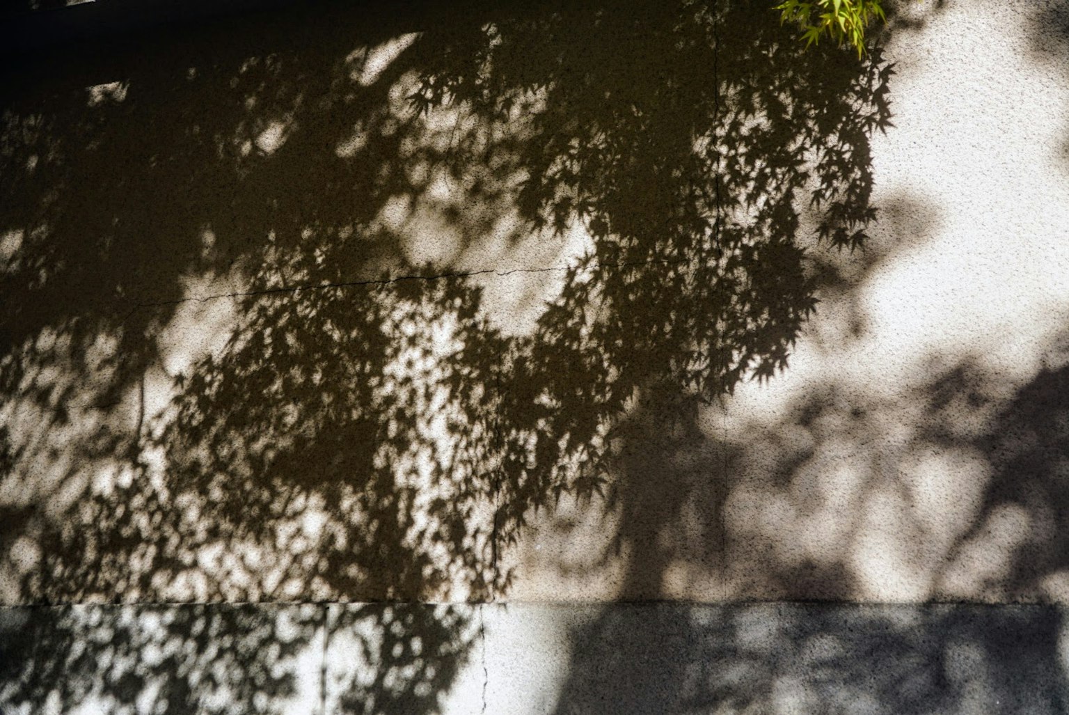 Nahaufnahme von Schatten, die auf den Boden fallen