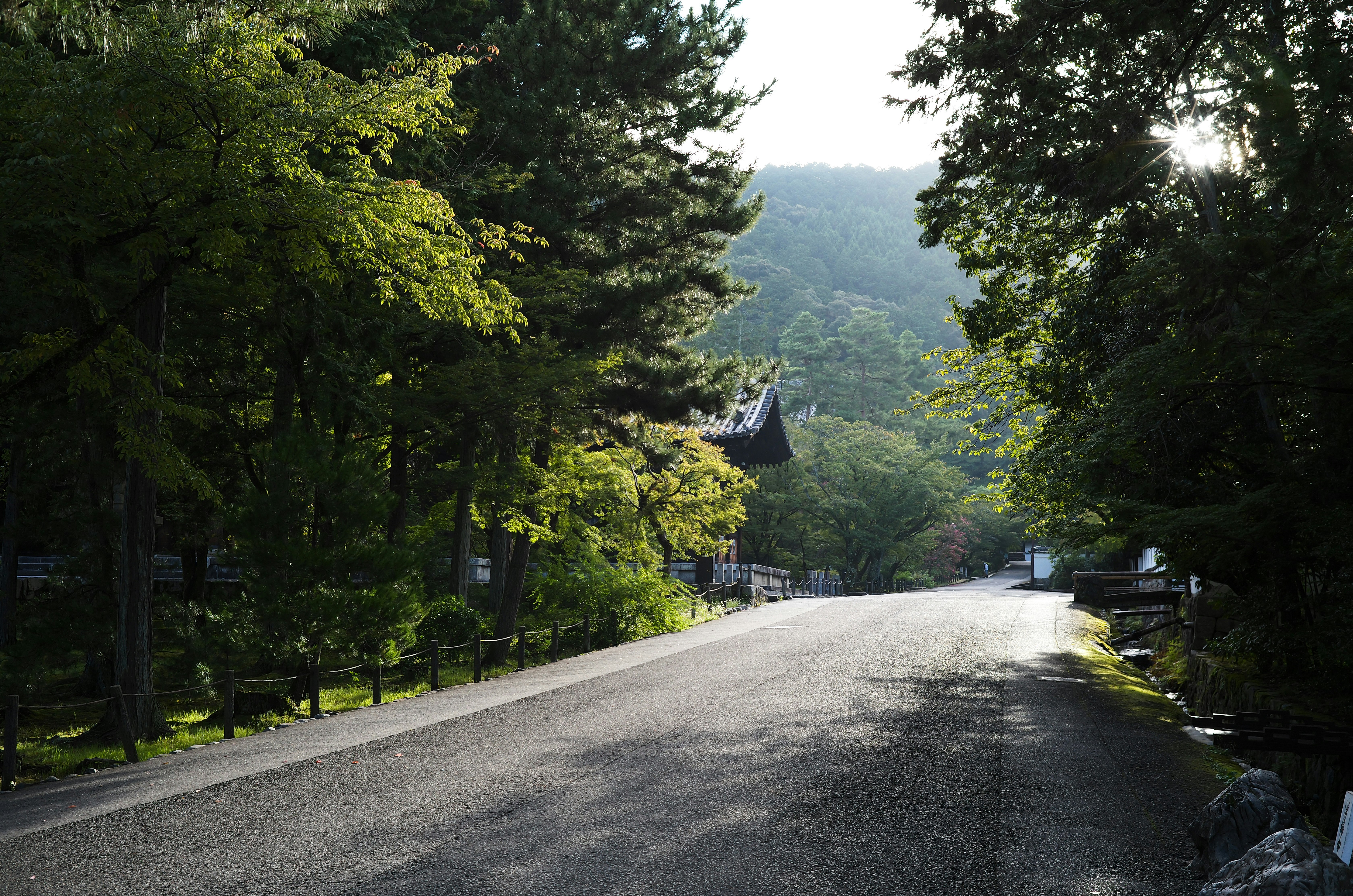 京都の緑に囲まれた山道の風景
