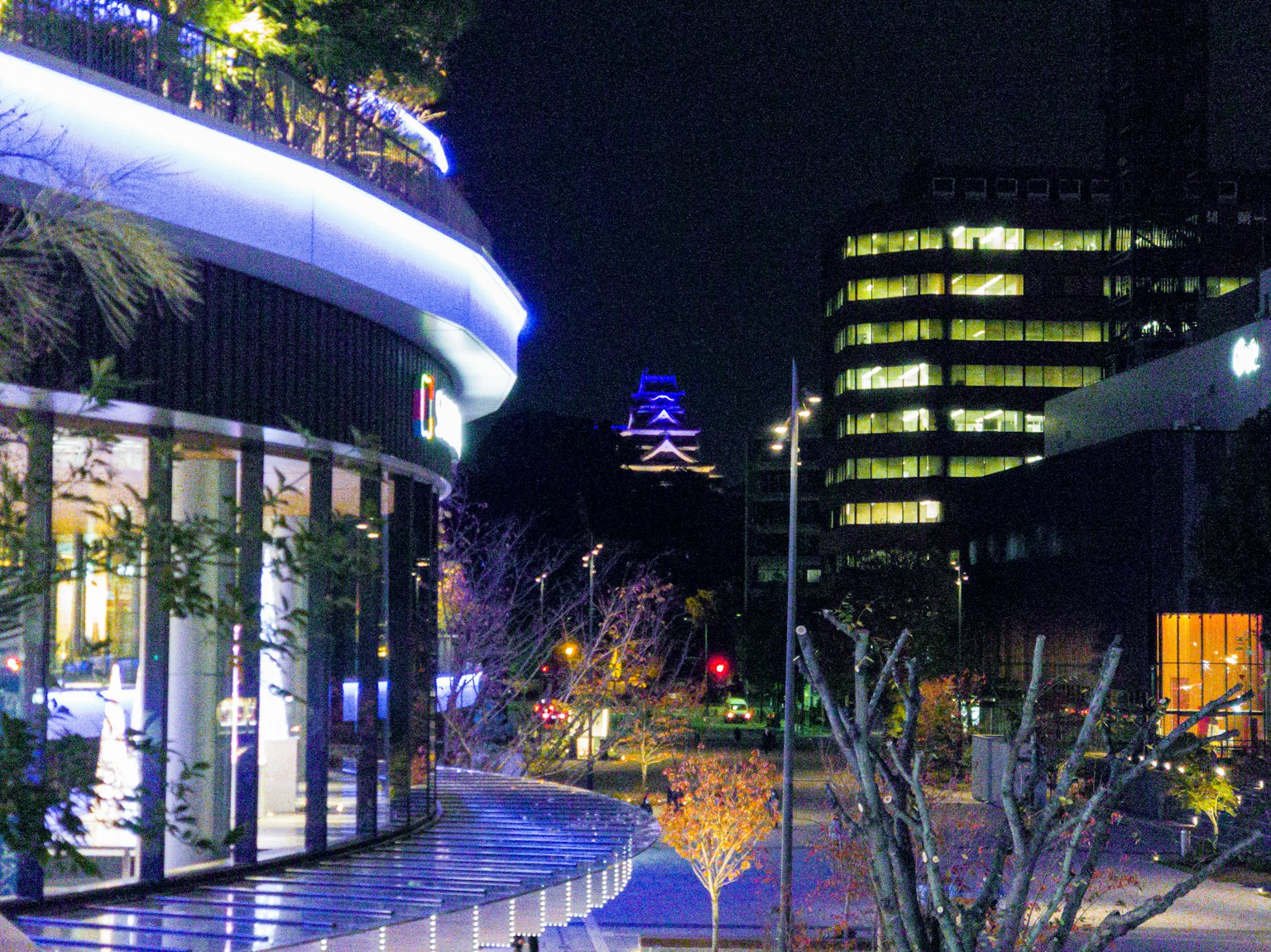 Pemandangan malam kota dengan arsitektur modern dan tanaman