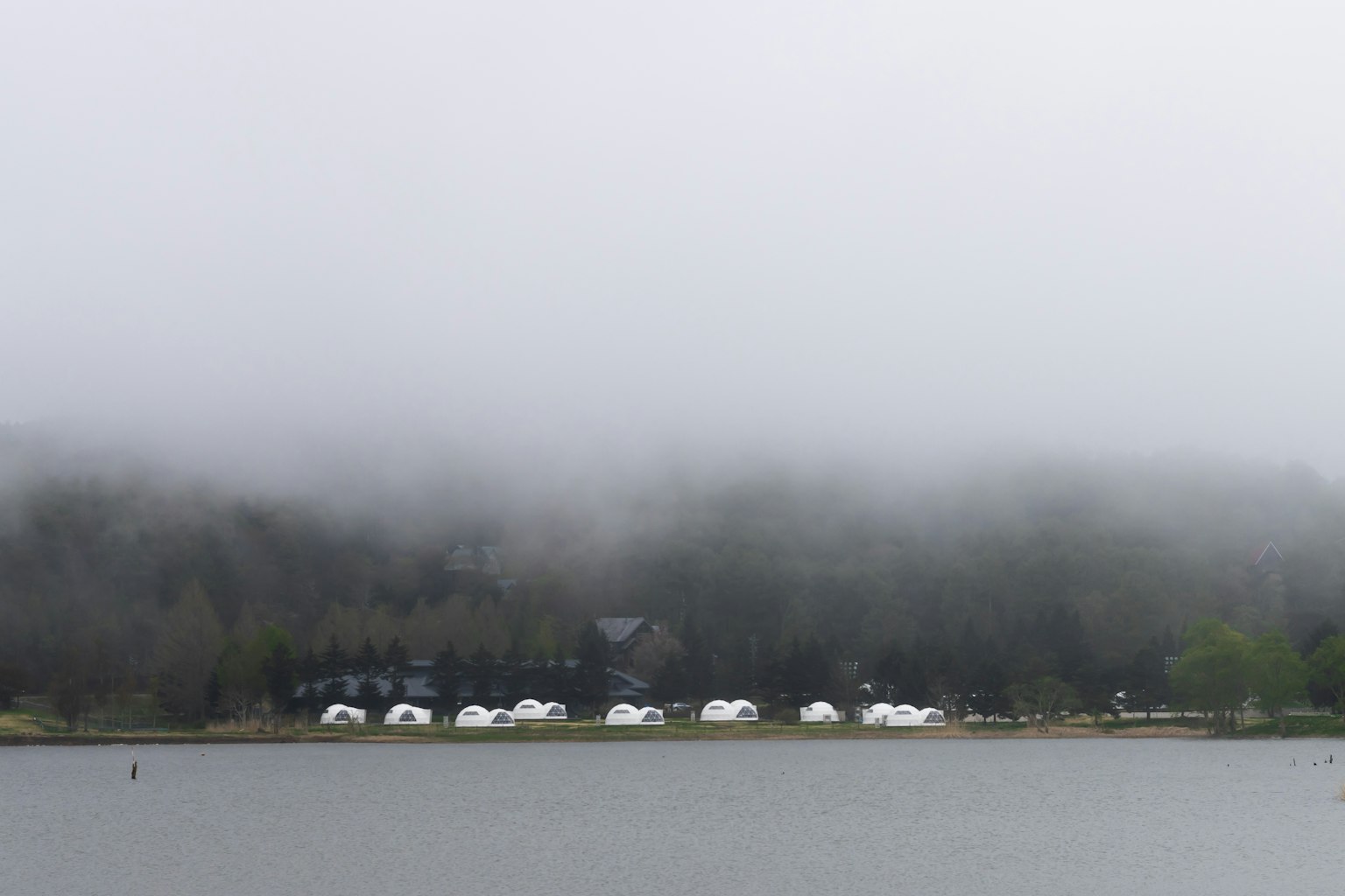 Nebeliger Blick auf den See mit weißen Zelten und grünen Bäumen