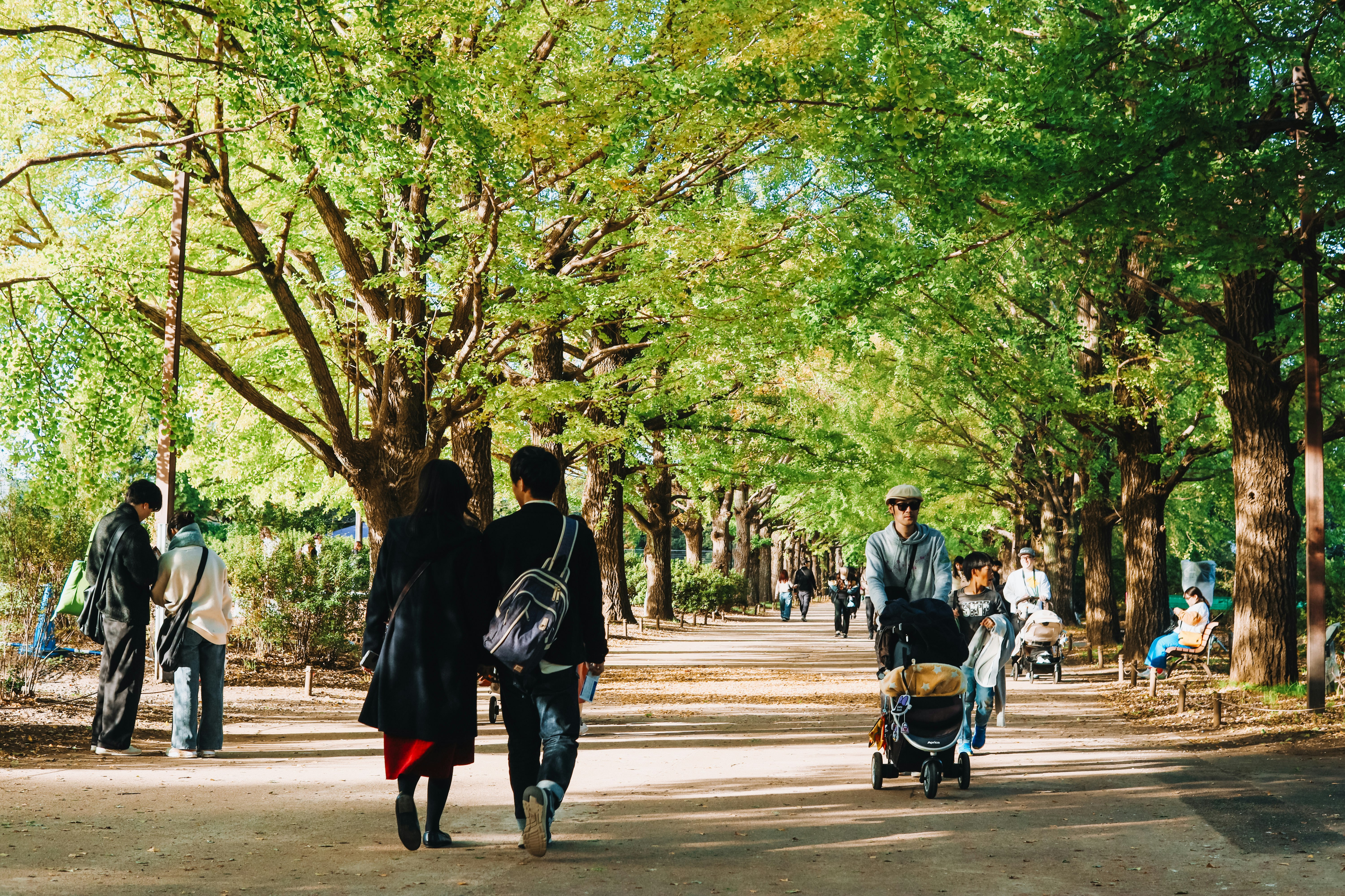 並木道を歩く人々のある街路