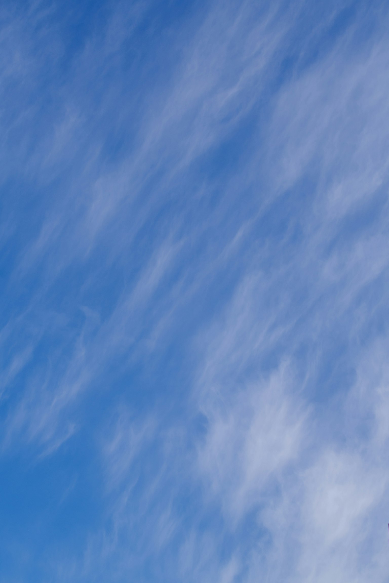 Nubes ligeras flotando en un cielo azul brillante
