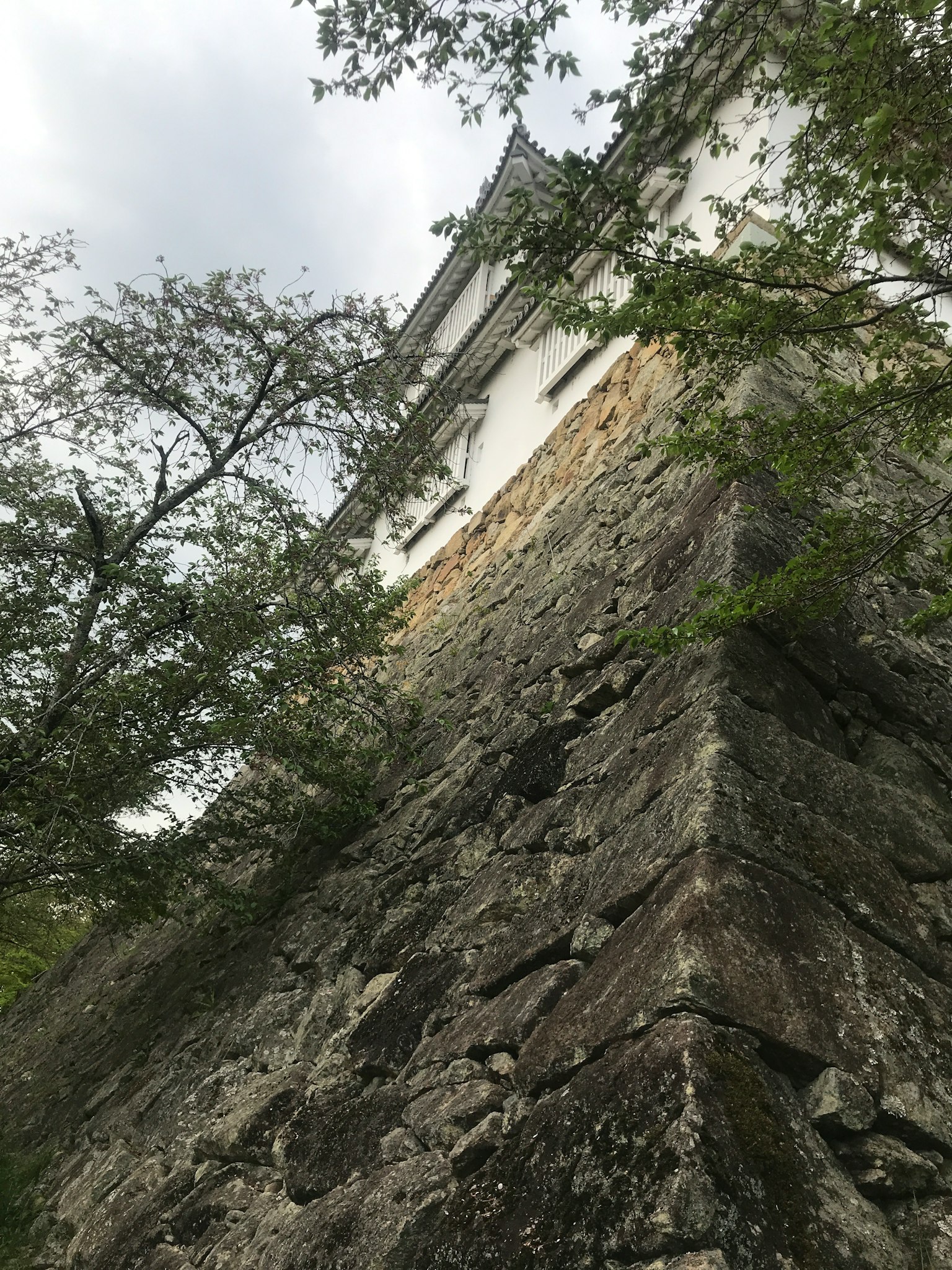 photo-y60dG1yF5crwNXDfa052-image
