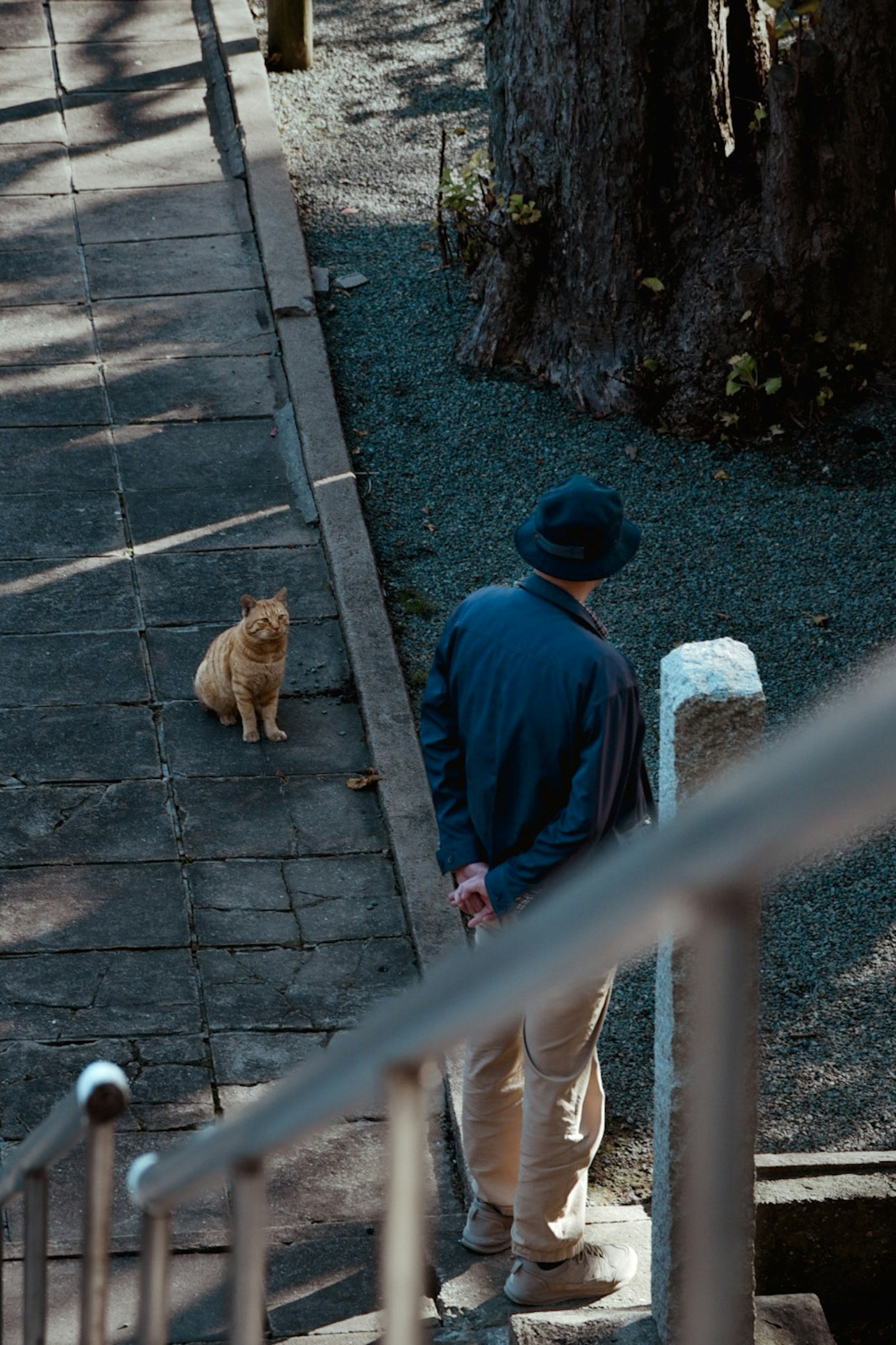 階段の下にいる男性と犬のシーン　男性は青い帽子をかぶり　犬は金色の毛を持つ