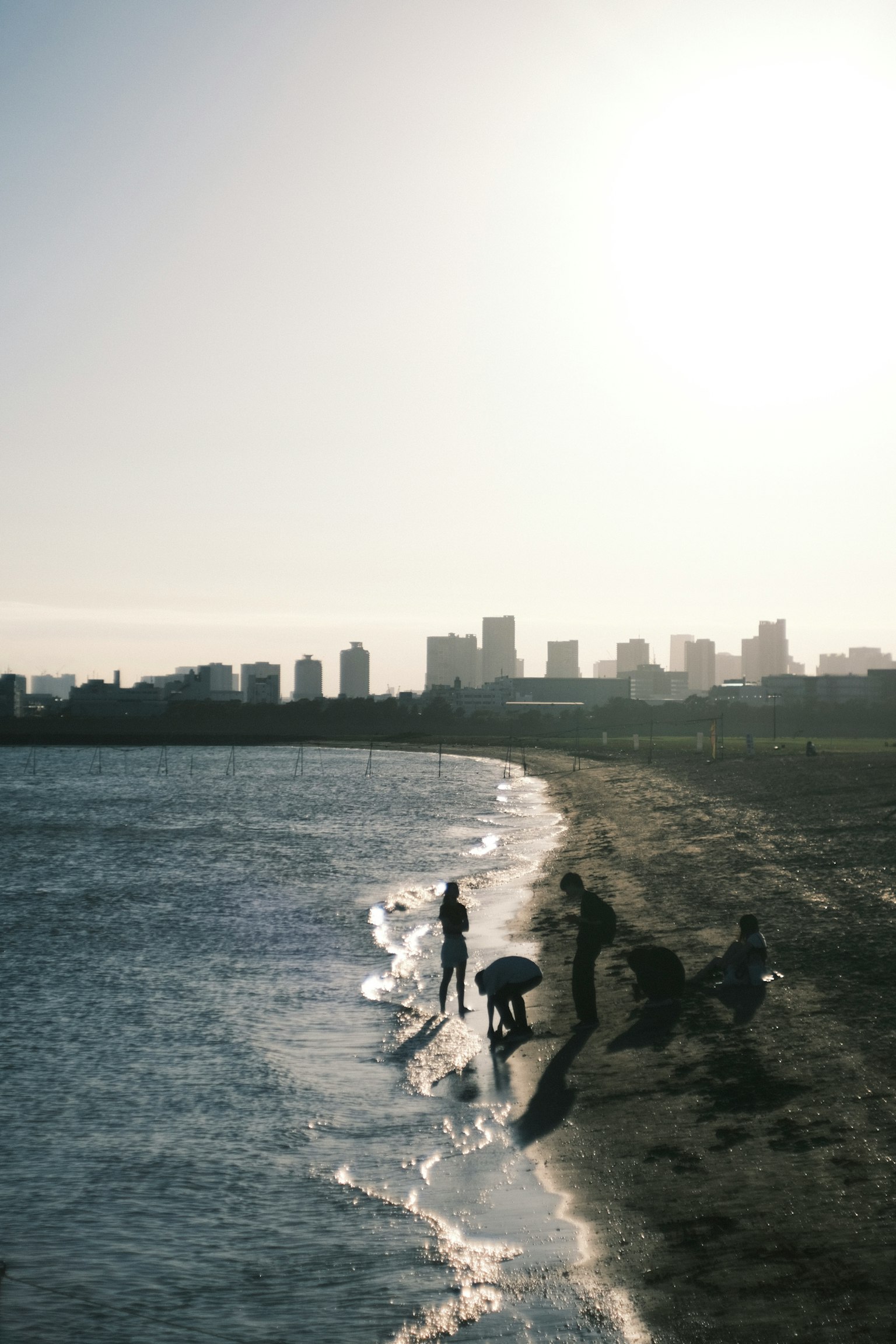 海滩上玩耍的人和背景中的城市天际线
