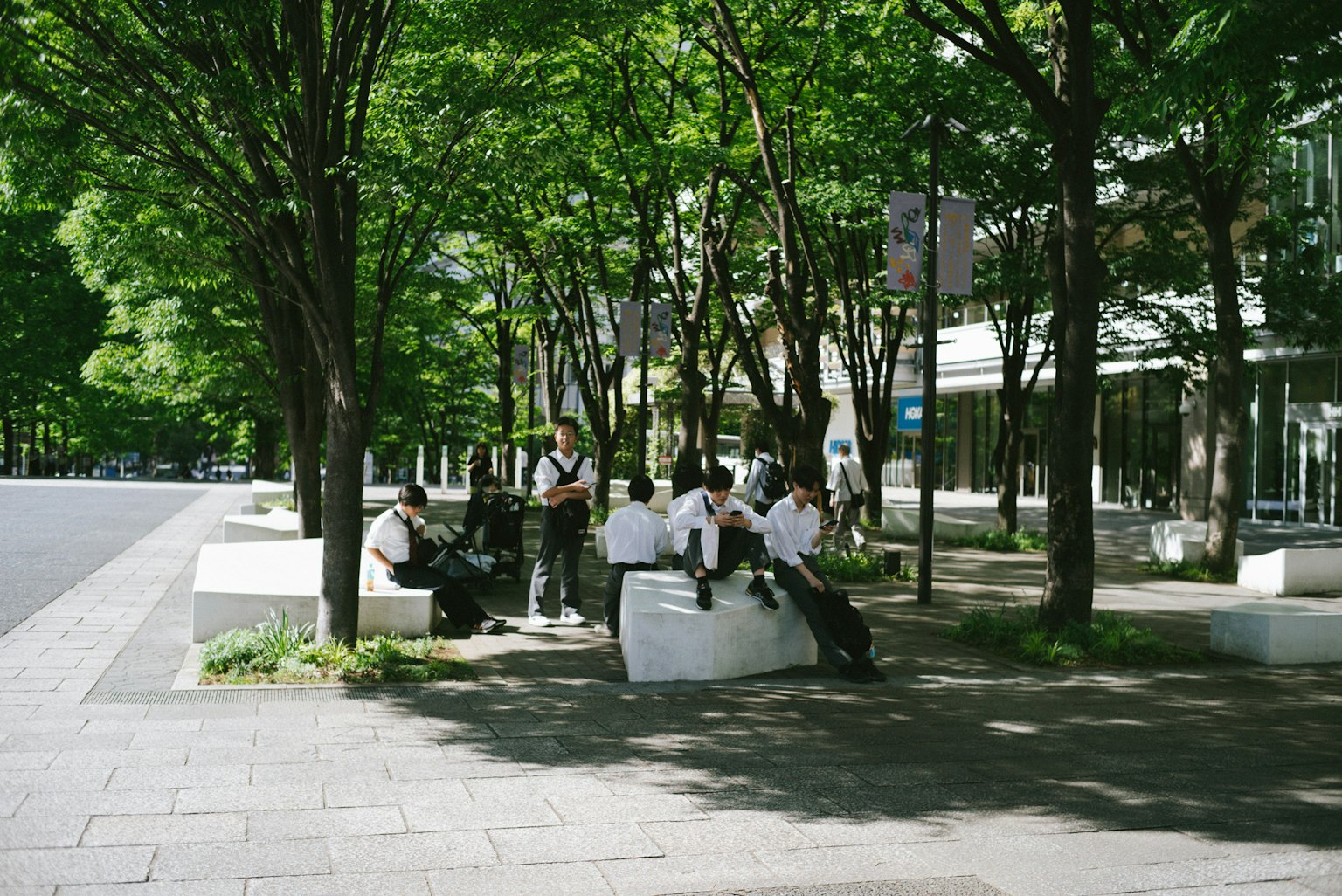 Students sitting under lush green trees