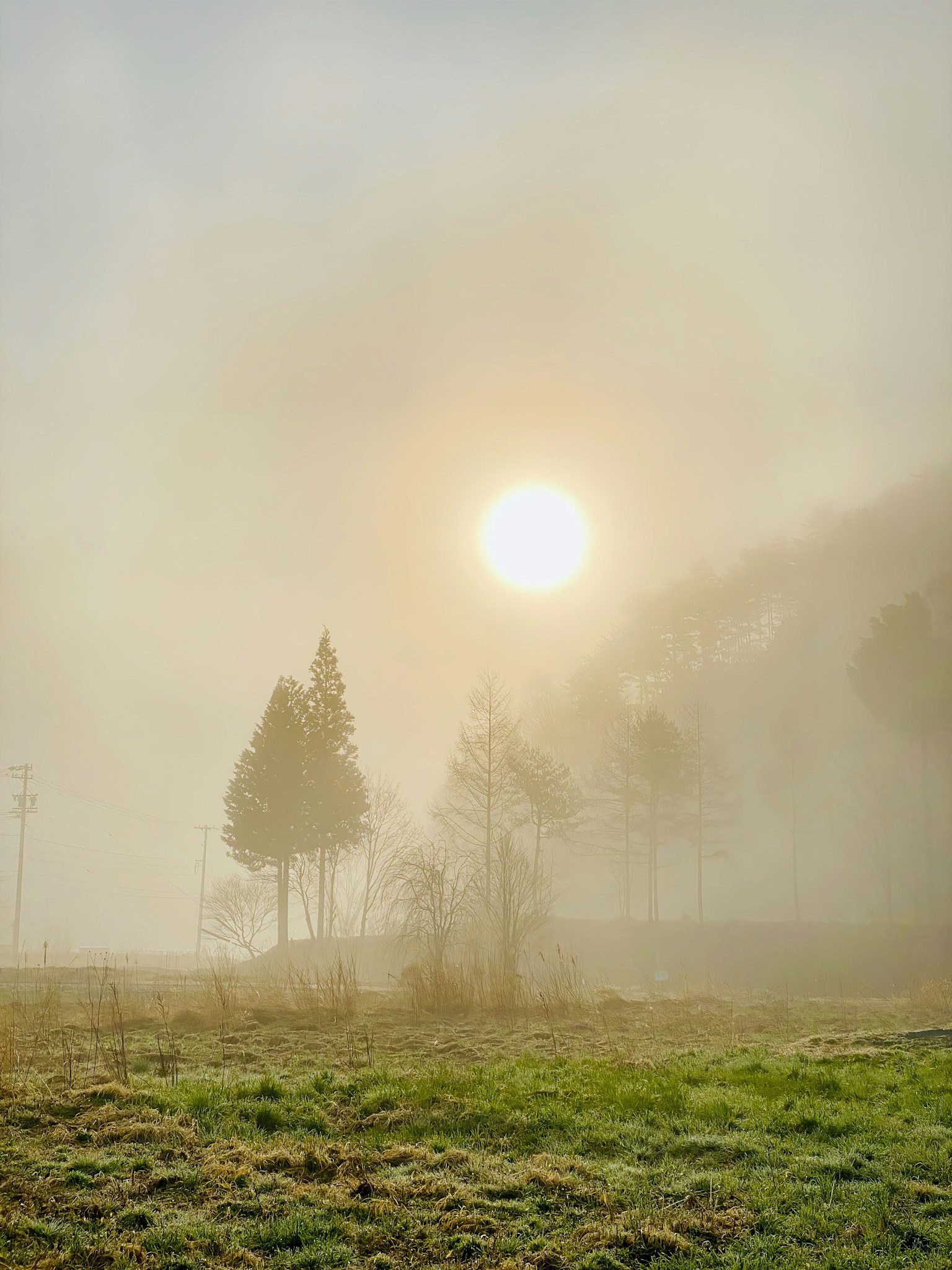 photo-y78g0ryXxByaMb58p39g-image