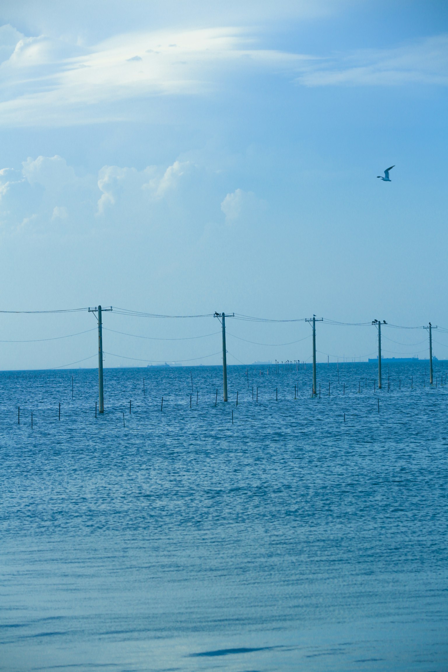 Landscape featuring utility poles in the blue sea under a clear sky