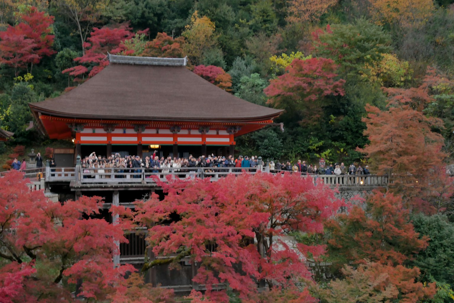 Bühne des Kiyomizu-Tempels umgeben von Herbstblättern und Touristen