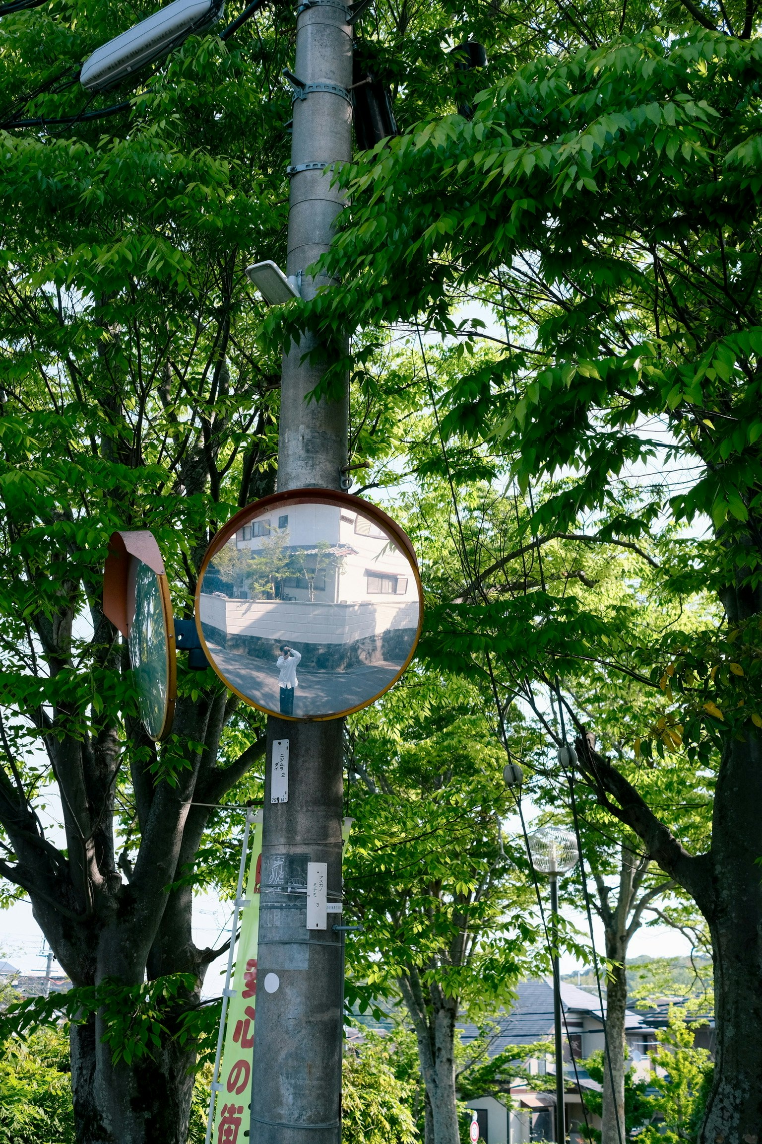 round reflective mirror mounted among trees