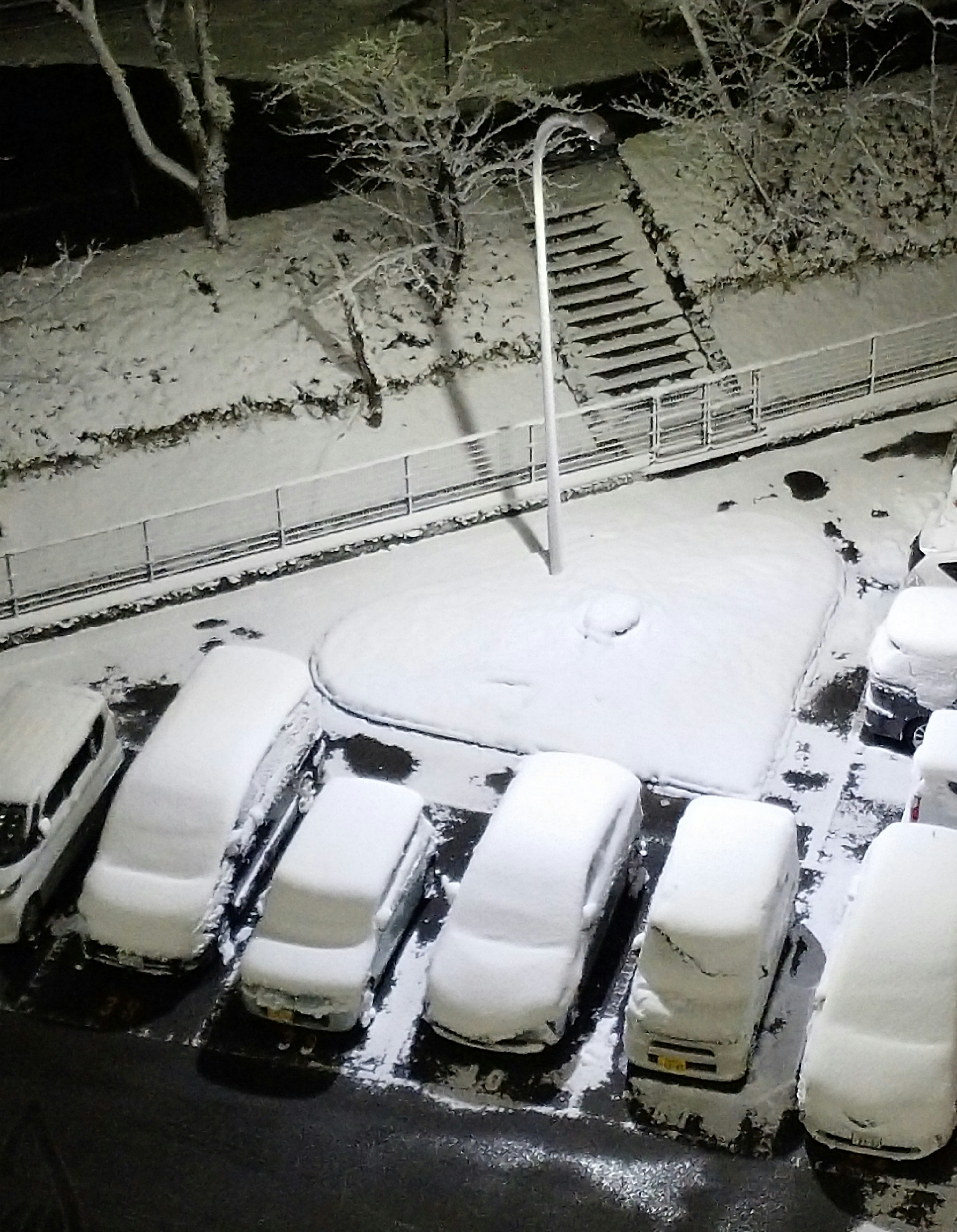 雪の積もった駐車場と車の列