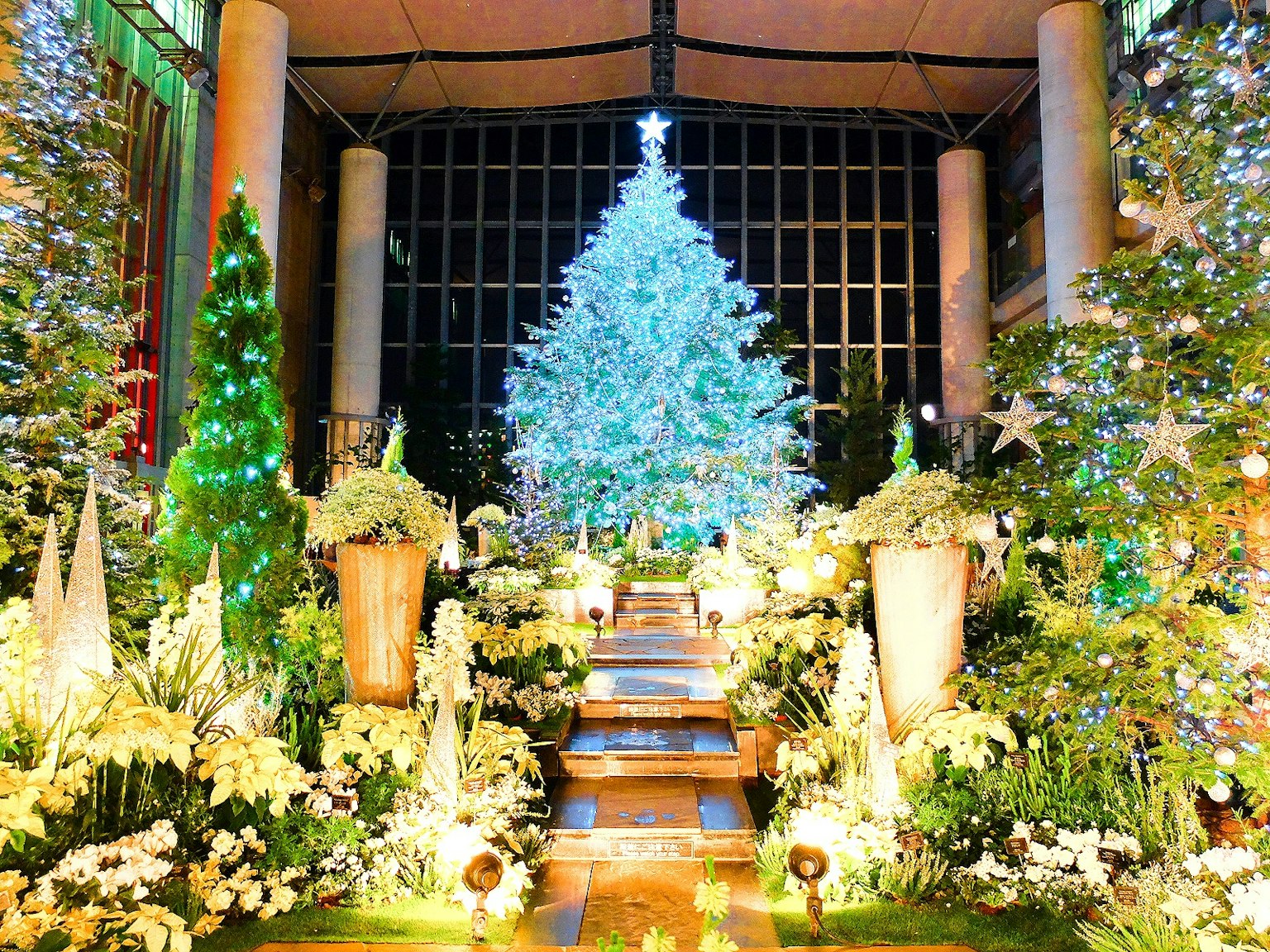 Lối vào thanh lịch với cây thông Noel đẹp và trang trí lễ hội