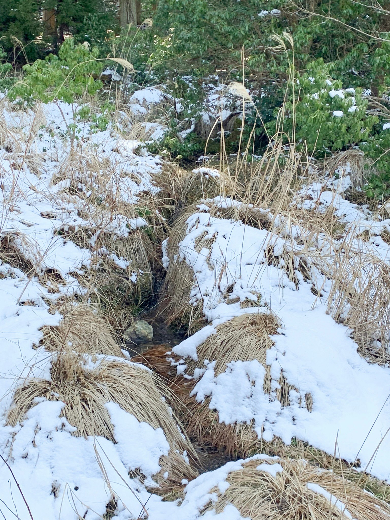 积雪的草丛与小石块的自然坡地