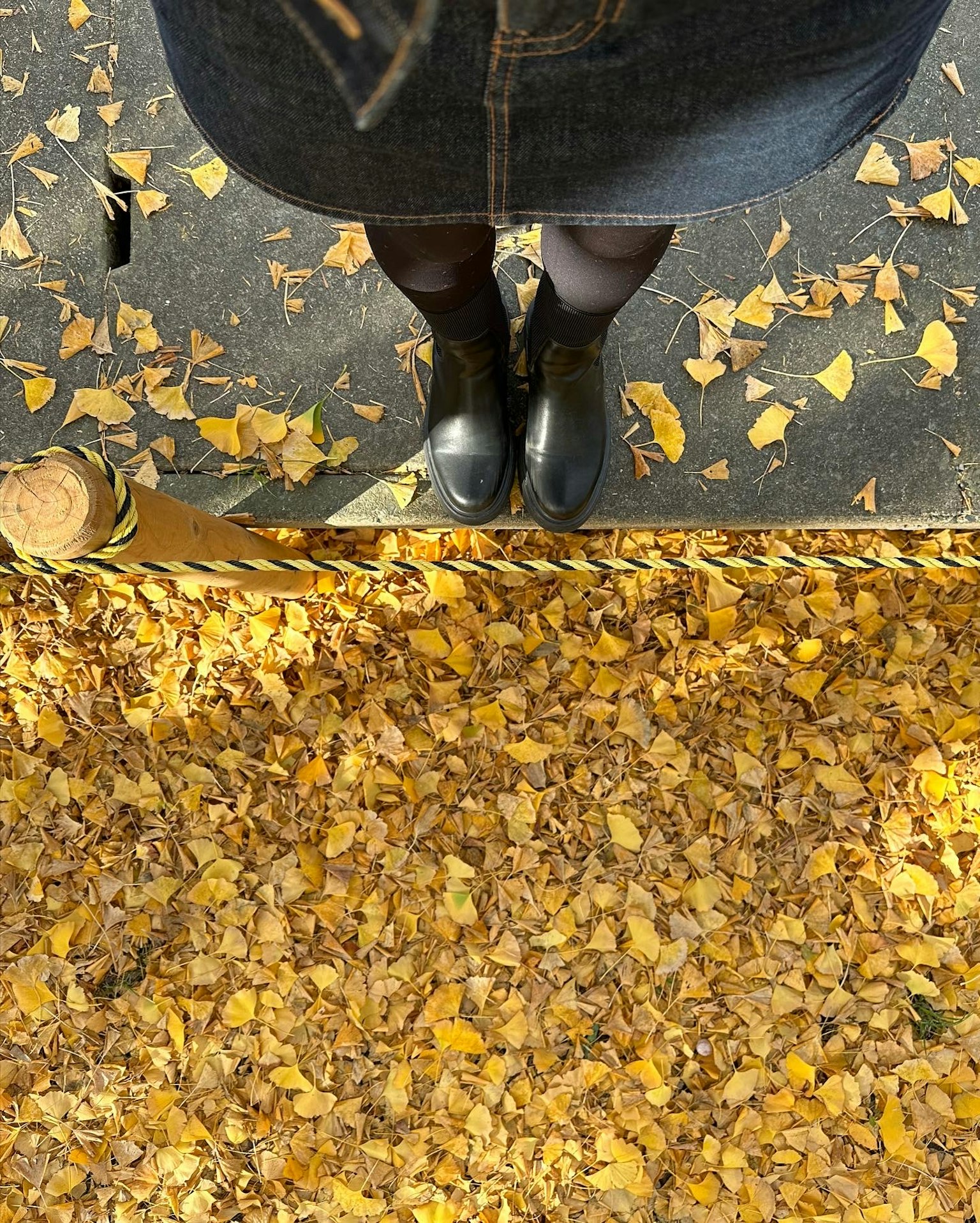 黑色靴子站在黃色秋葉上的照片