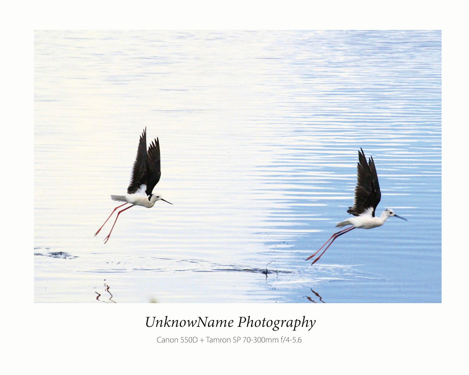 photo-y9BgfWwIhHQrUGLg573j-image