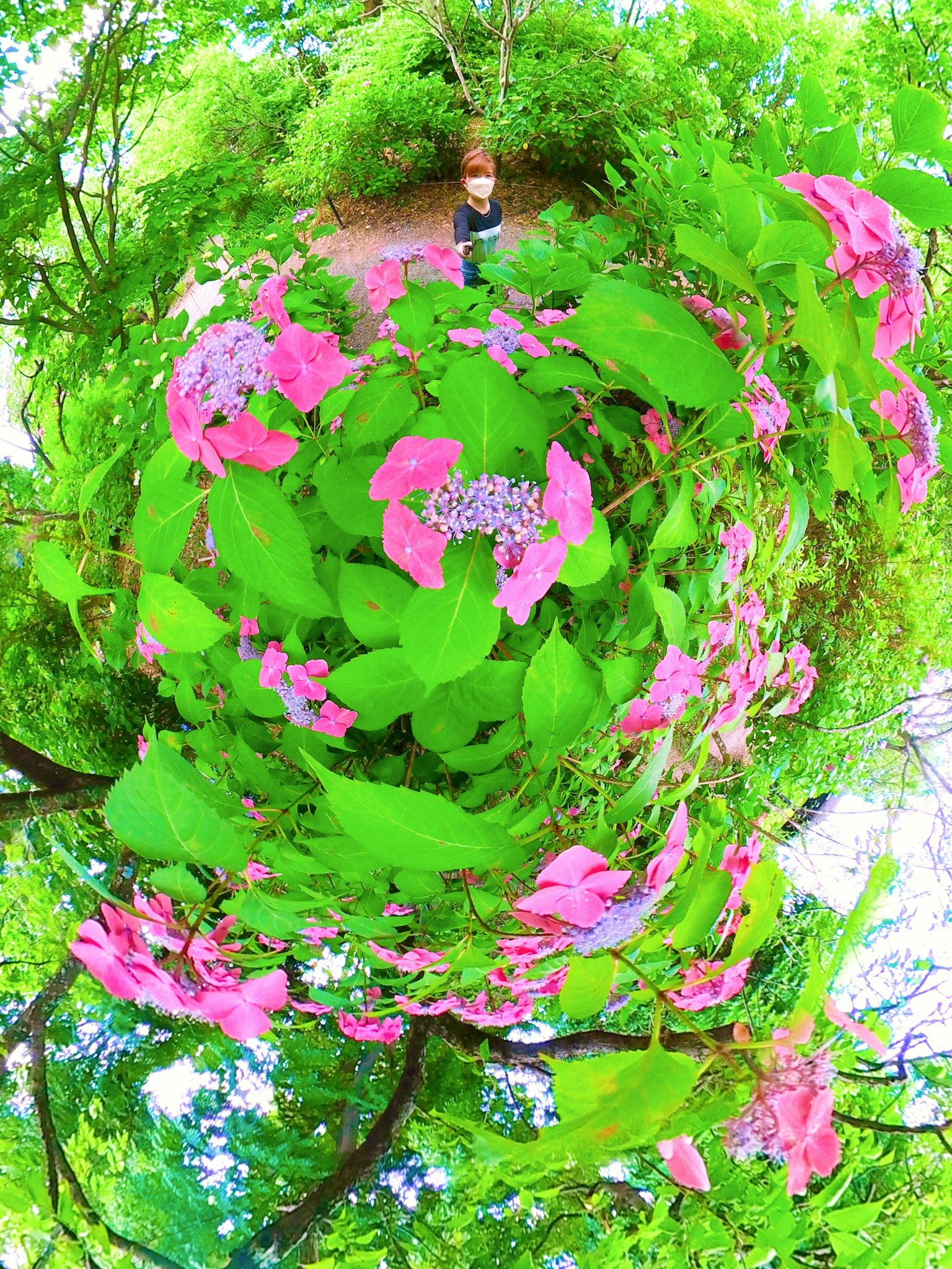 Des feuilles vertes vibrantes et des fleurs roses tourbillonnant dans un paysage magnifique