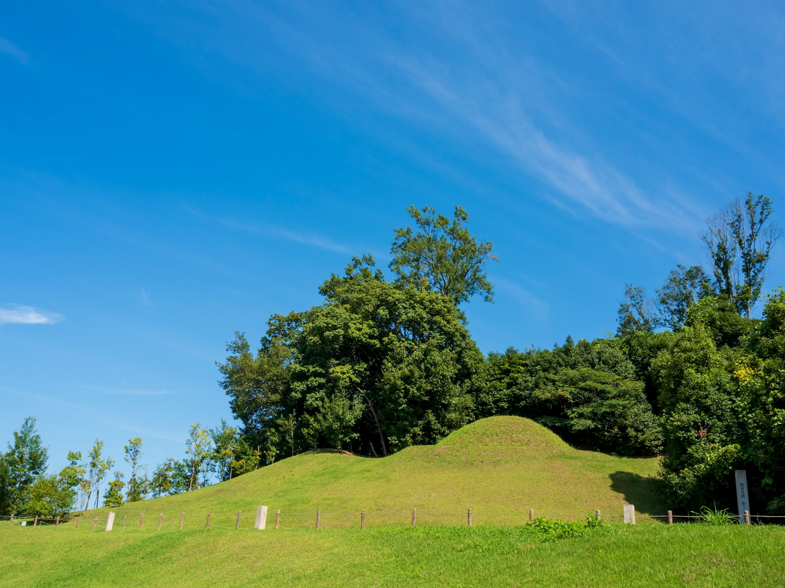 Paysage avec ciel bleu et collines vertes grands arbres en arrière-plan