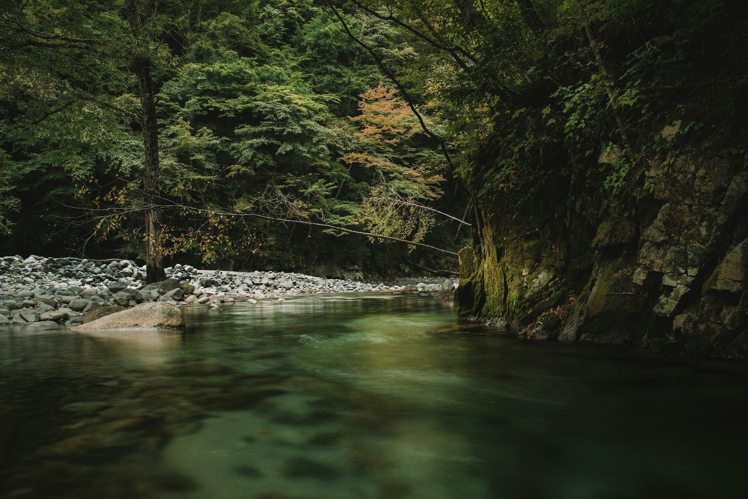 Ruhige Flusslandschaft umgeben von üppigem Grün