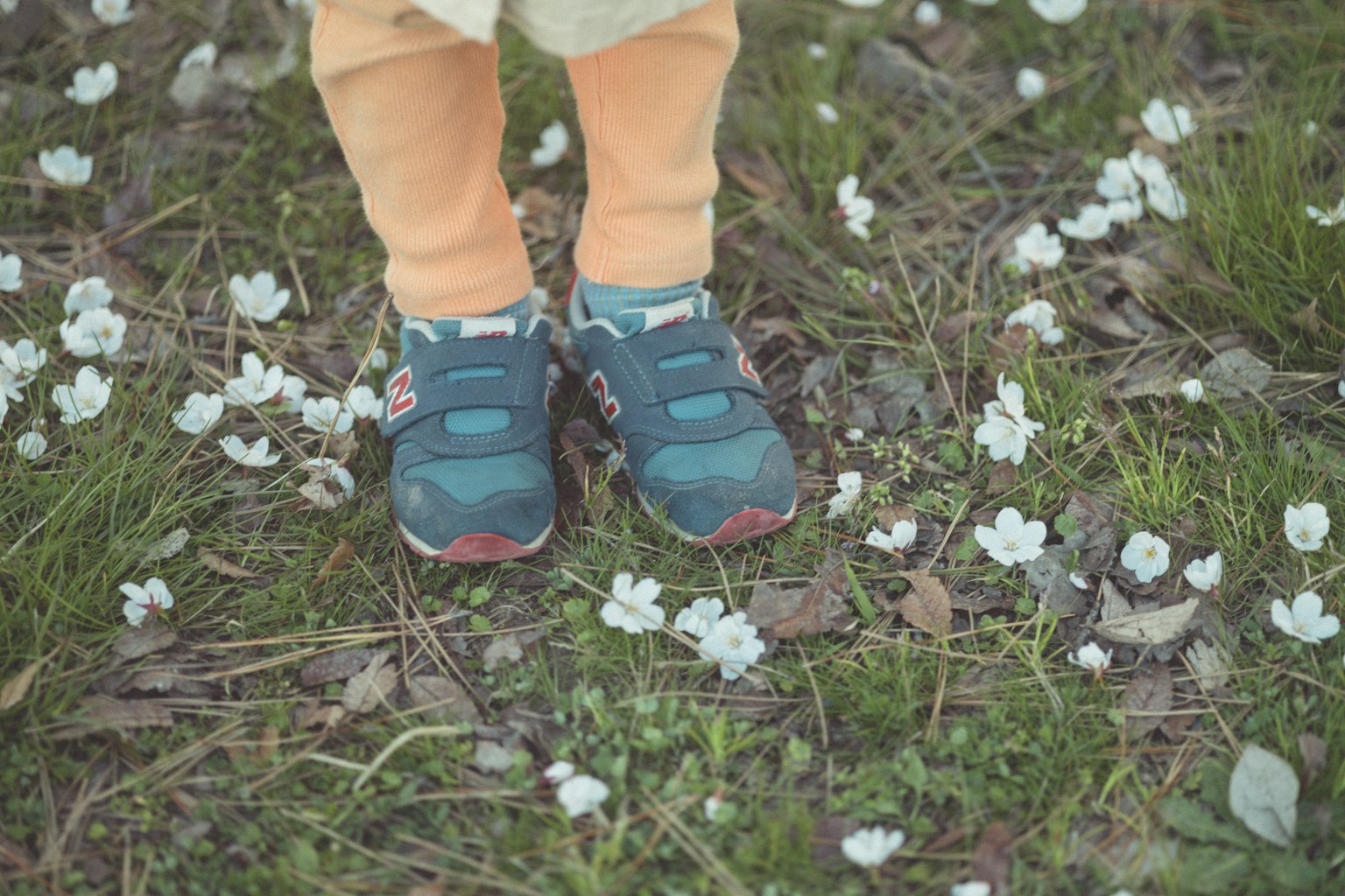 Pieds d'enfant se tenant sur l'herbe avec des pétales de fleurs blanches éparpillés