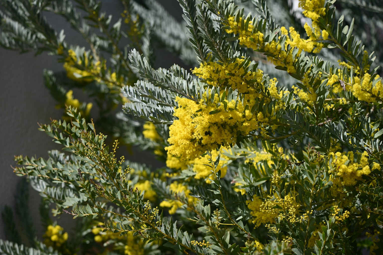 photo-y9eRd6R71Yjn6GtDQdQ4-image