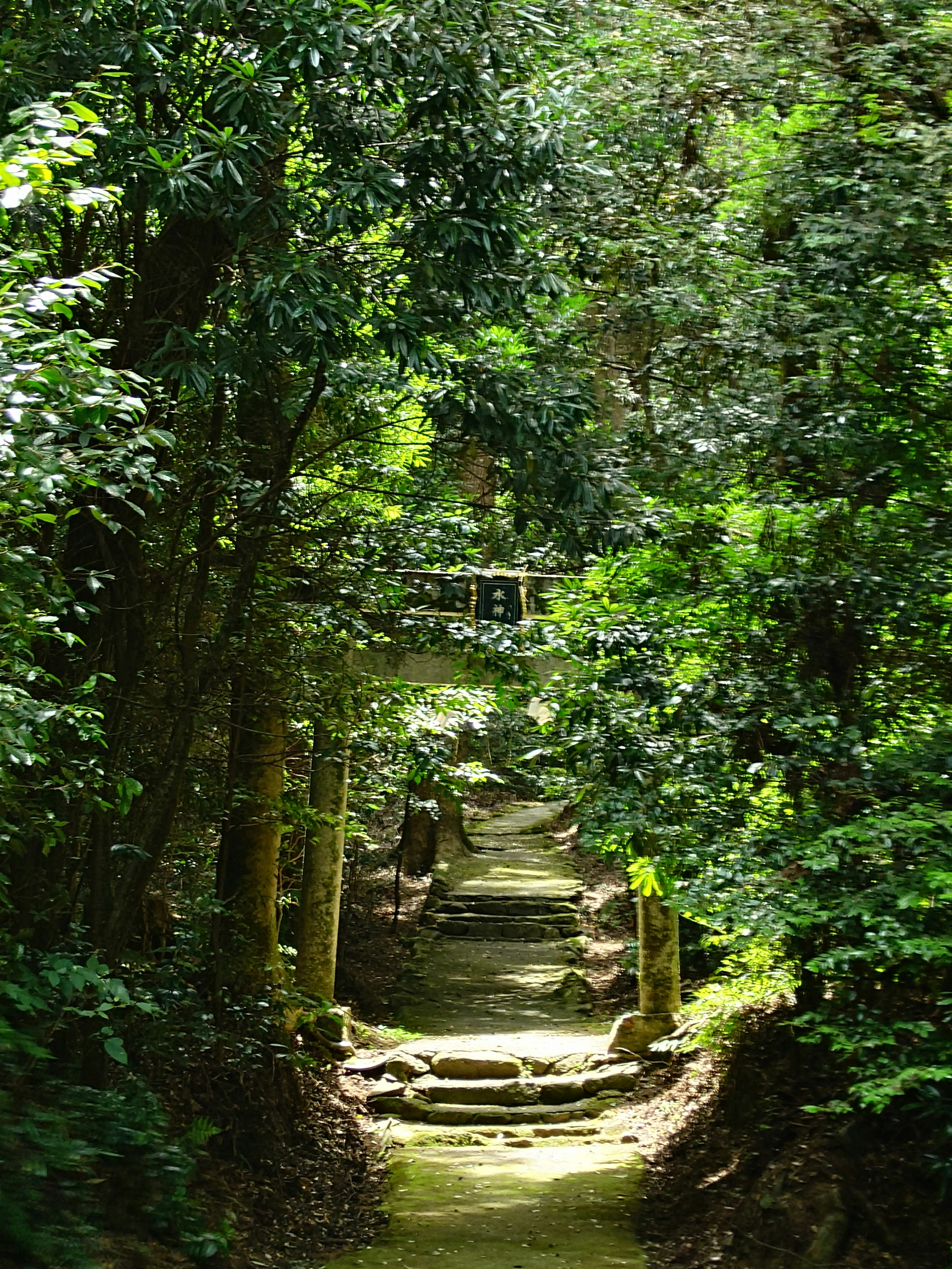 水主神社へ続く緑の参道の石段と小道