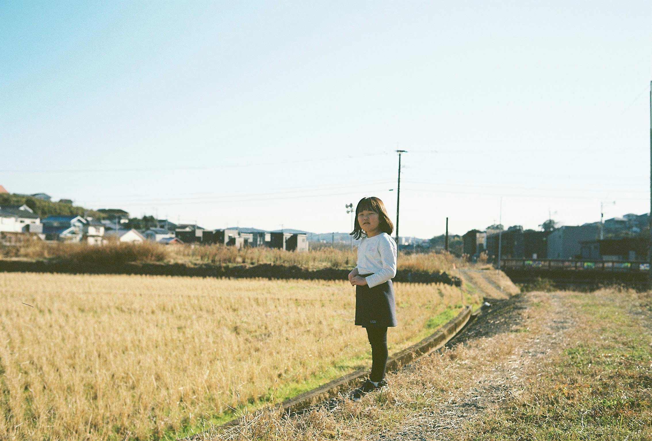 田んぼの横に立つ女性の写真 青空と住宅が背景にある