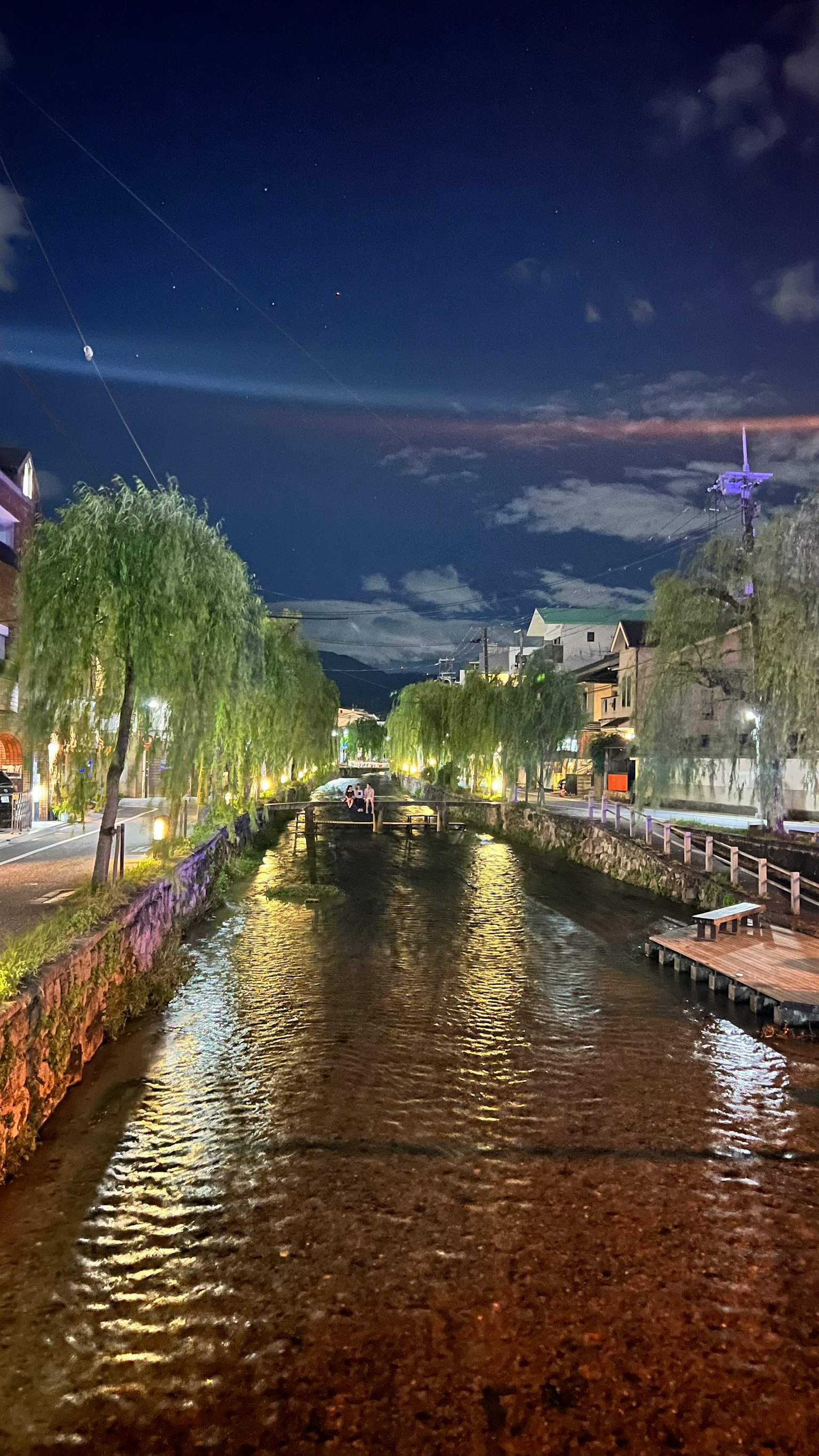 Vista nocturna de un canal flanqueado por sauces y luces reflejadas