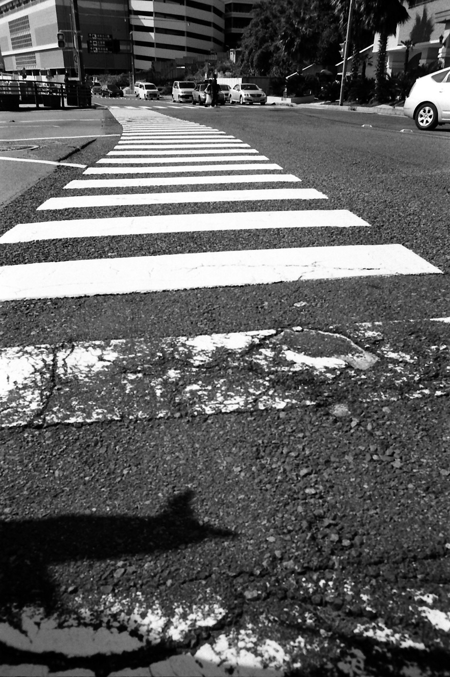 Image en noir et blanc d'un passage piéton courbé montrant la route devant
