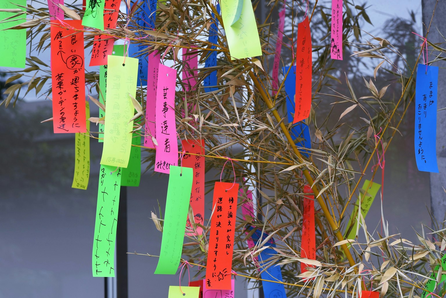 Bandes de papier colorées attachées à des branches de bambou