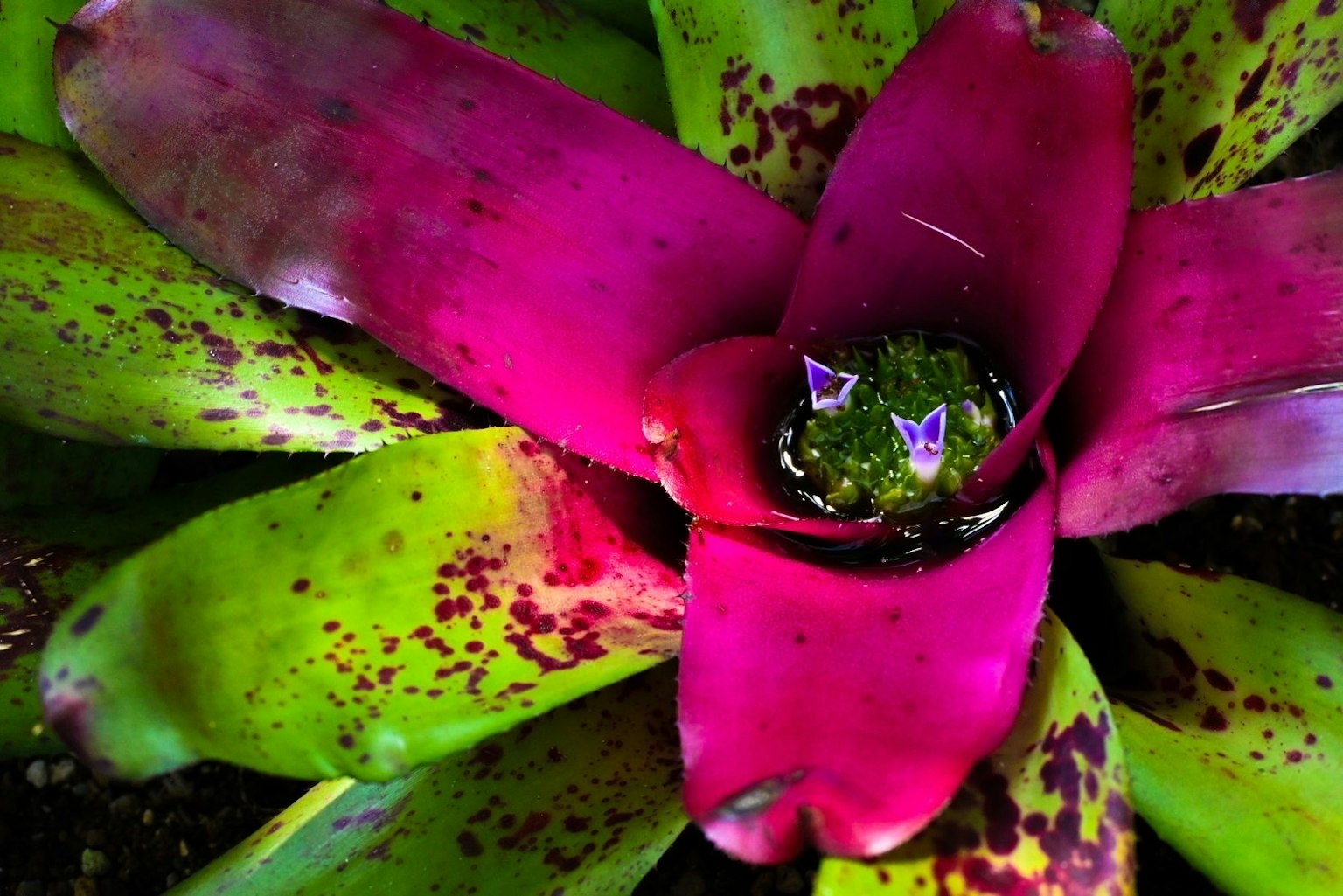 photo-yAiWZYSWumkUNL1spDu1-image