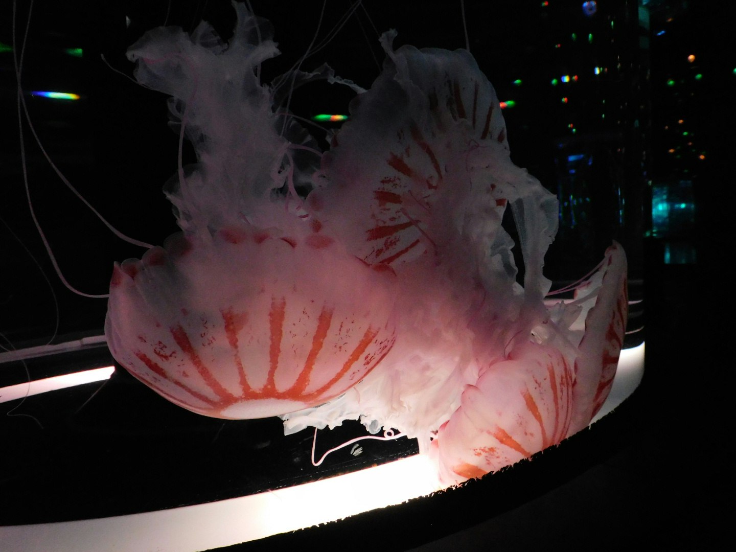 夜の暗闇で光る噴水のような水しぶきと泡