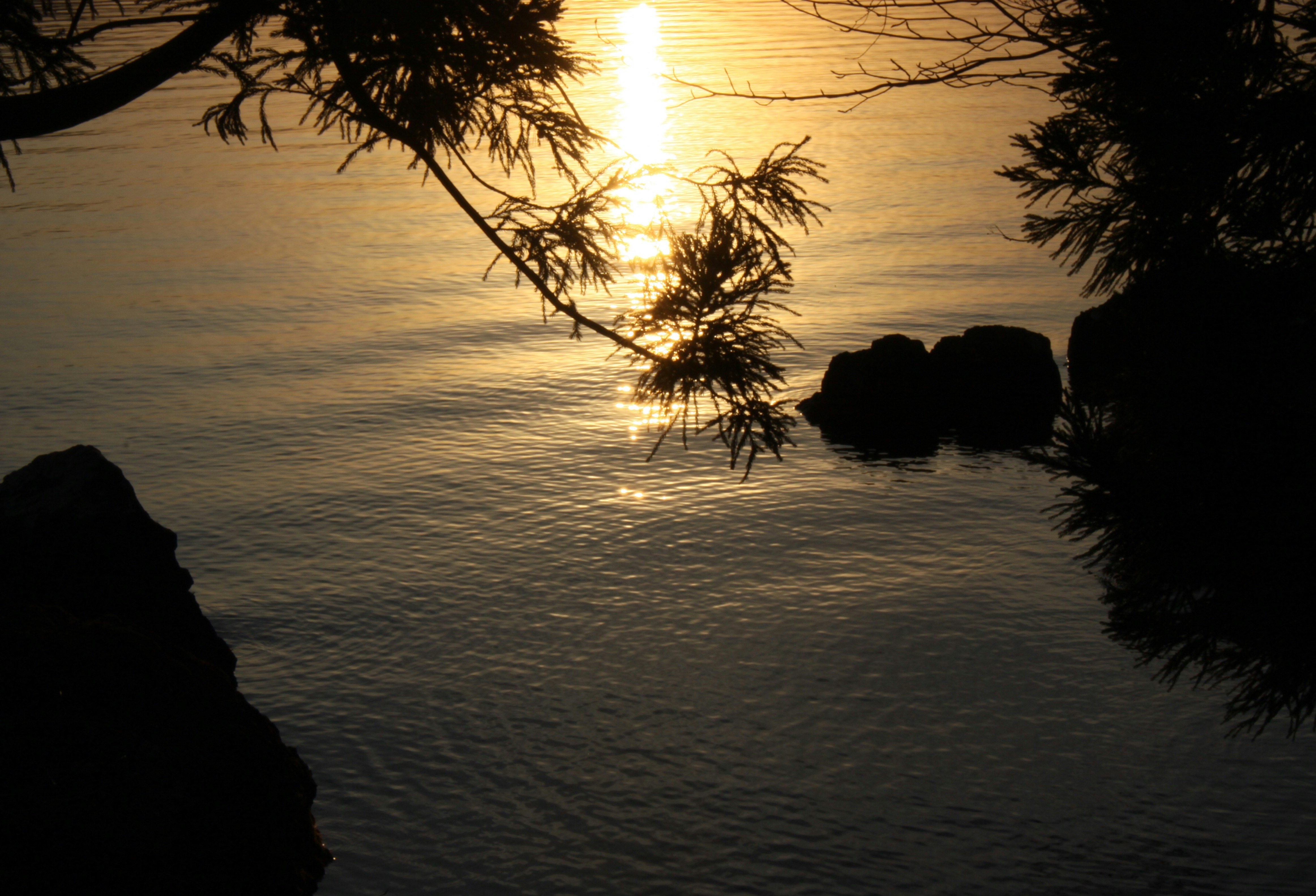silhouetted rocks and sea at sunset