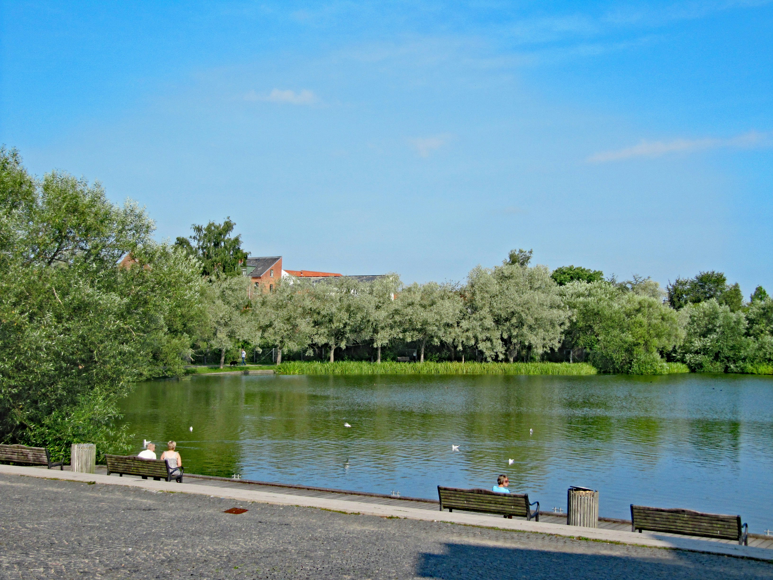 lakeside promenade with benches under a blue sky