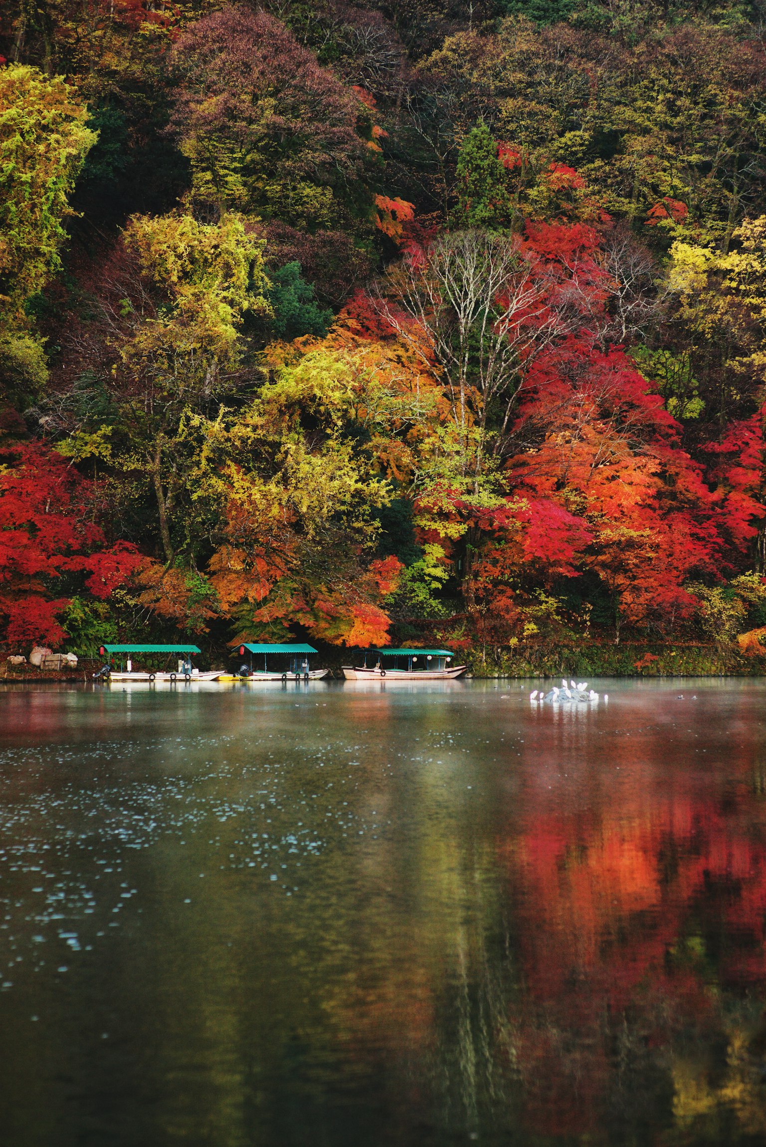 Vue pittoresque d'un lac tranquille reflétant un feuillage d'automne vibrant