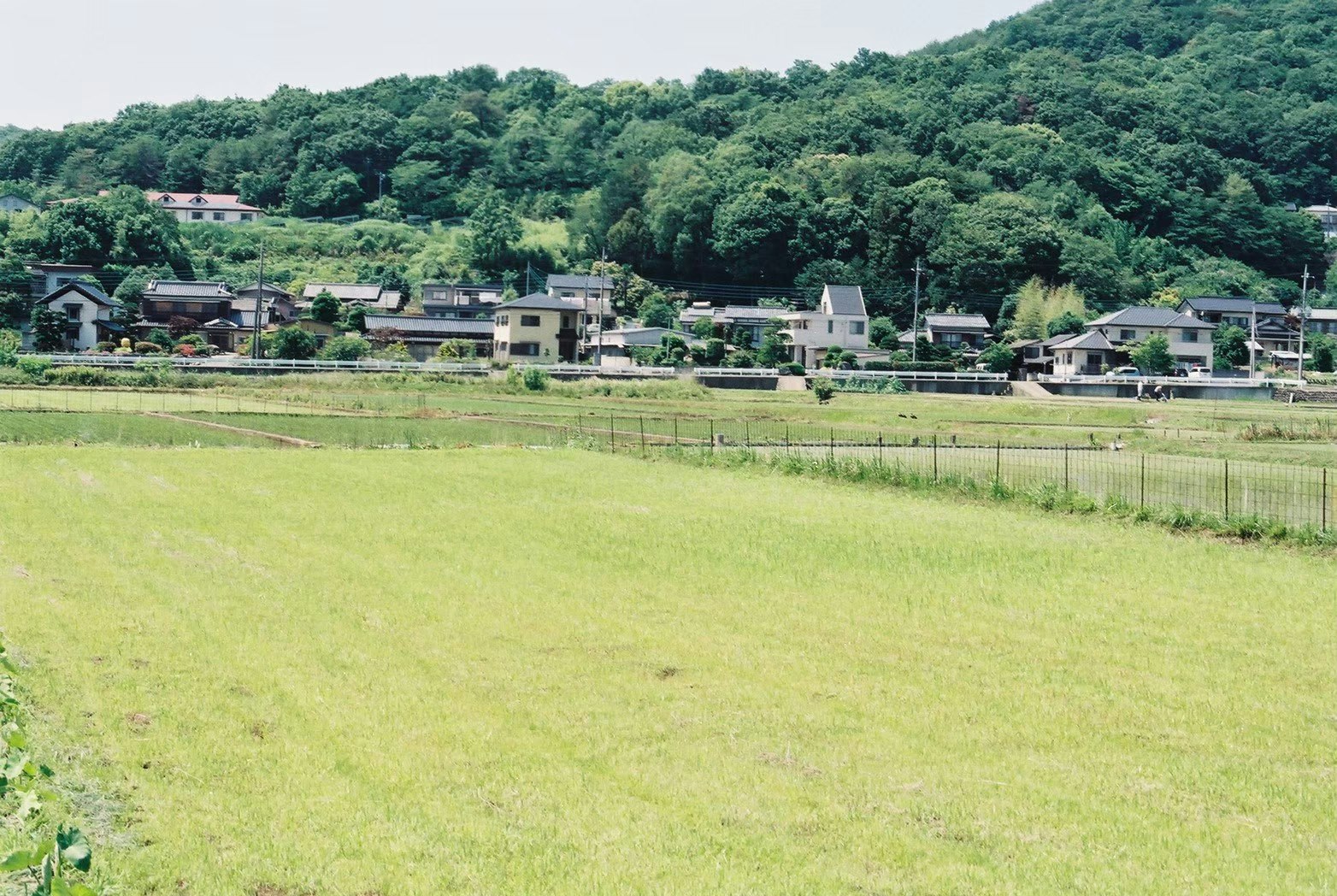 绿丘陵旁的田野与住宅村落风景图片